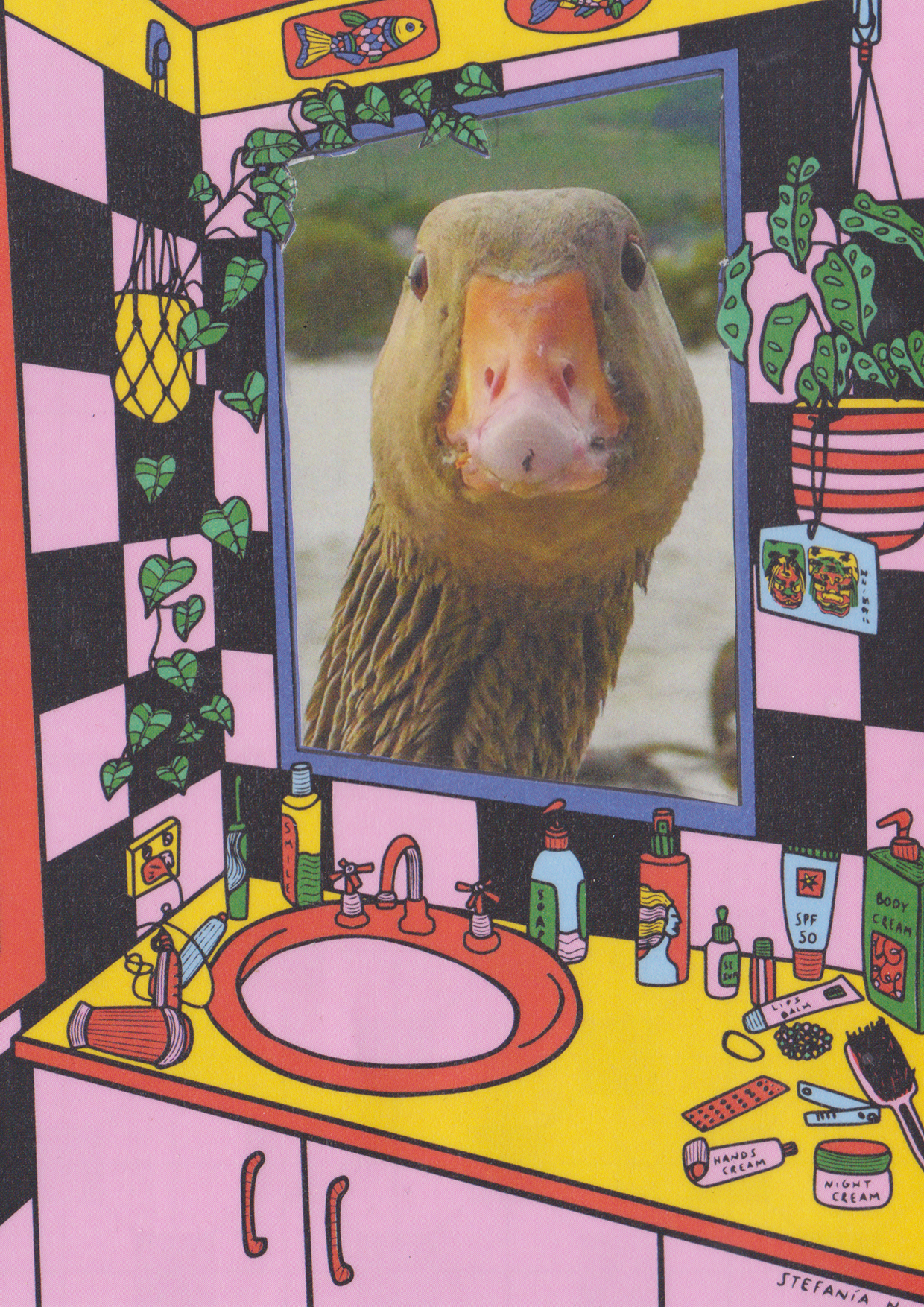 DUCK IN A MIRROR | collage