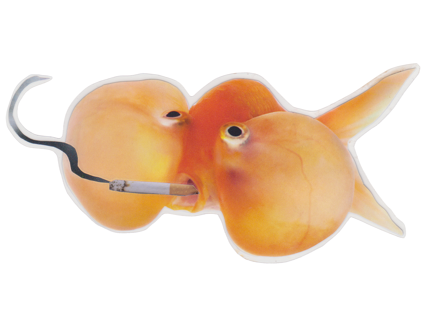 SMOKING FISH | collage