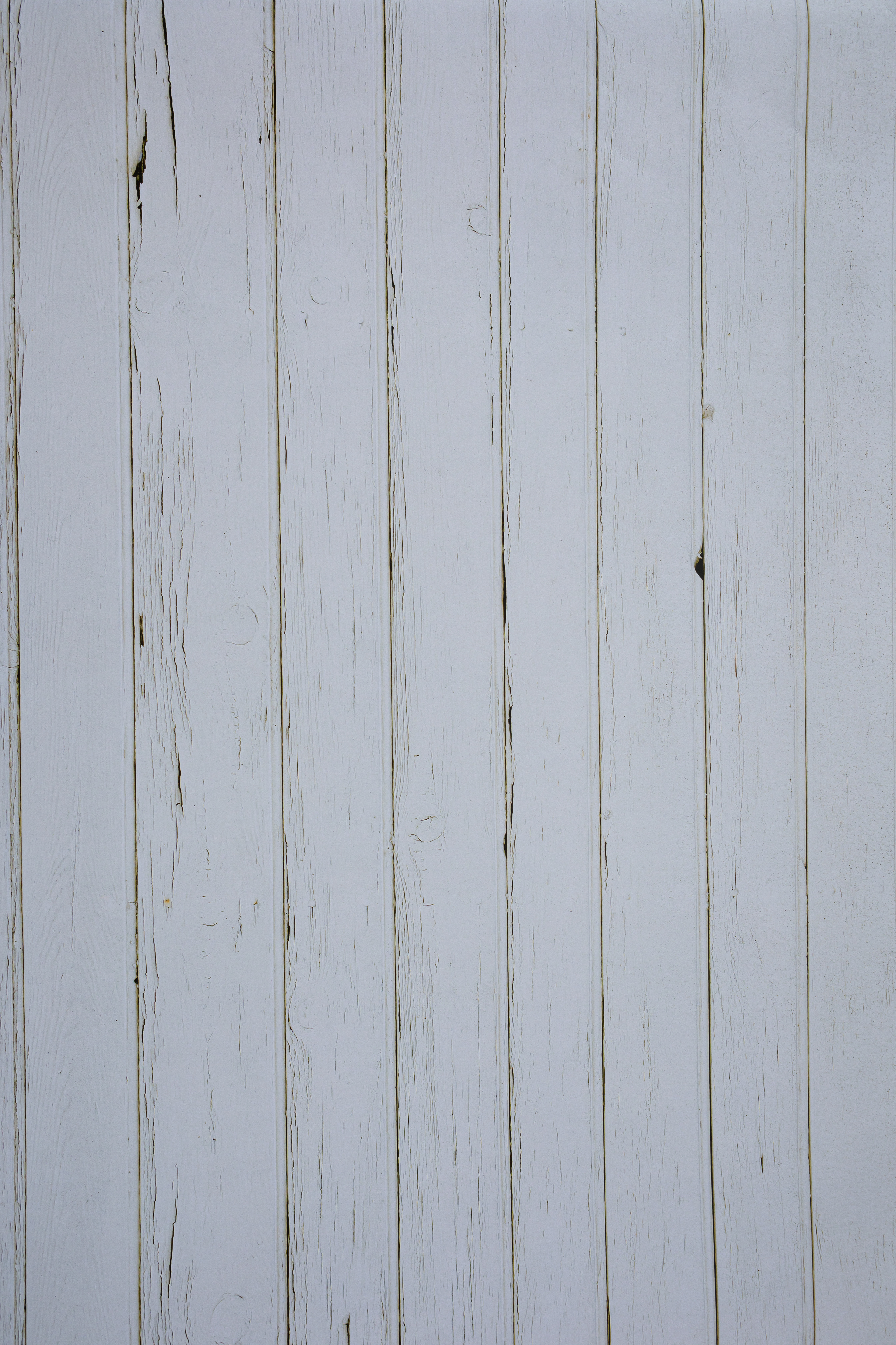 White Wood 1. Acrylic. 80cm x 55cm. Code: 001 