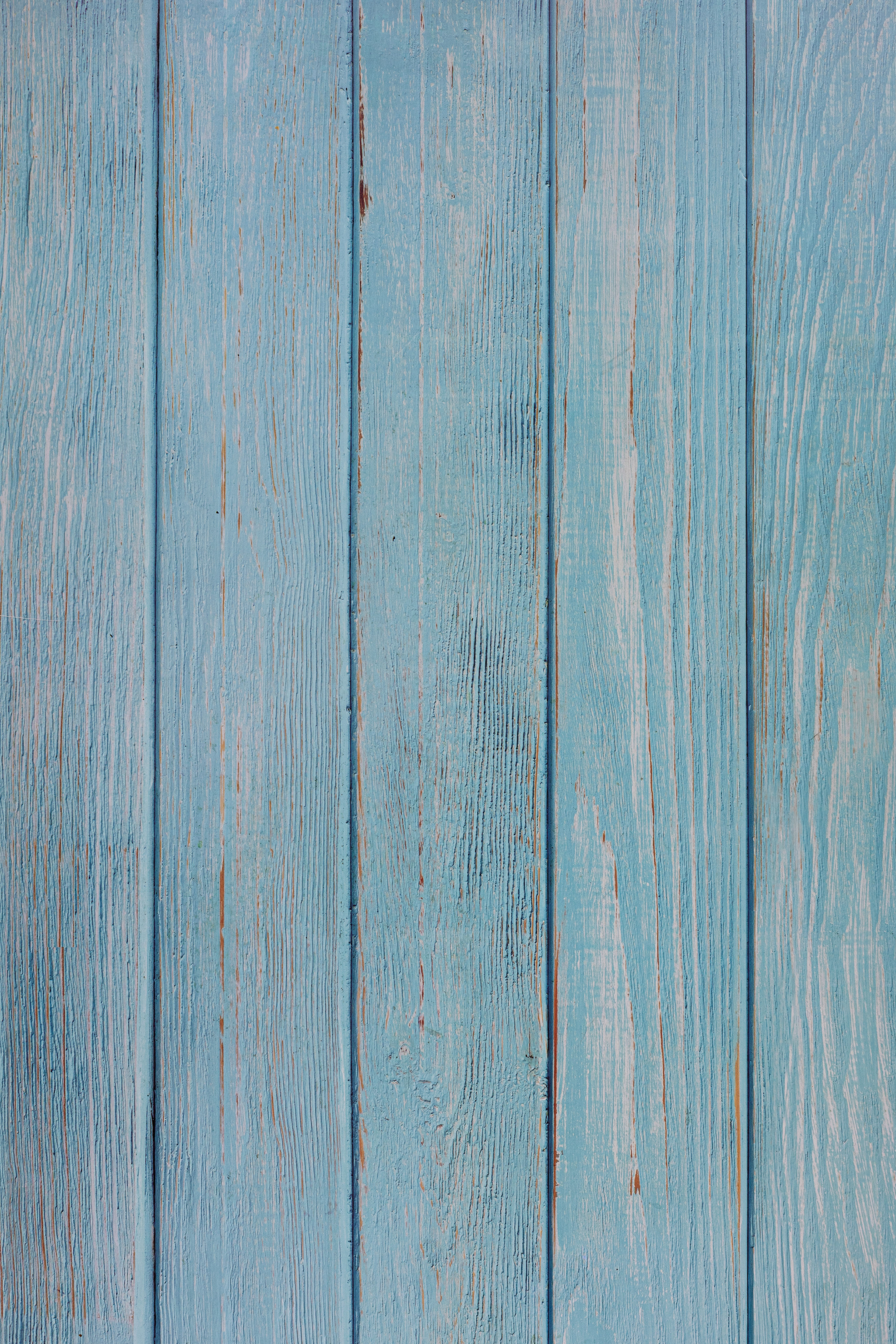 Blue Wood 1. Acrylic. 80cm x 55cm. Code: 016