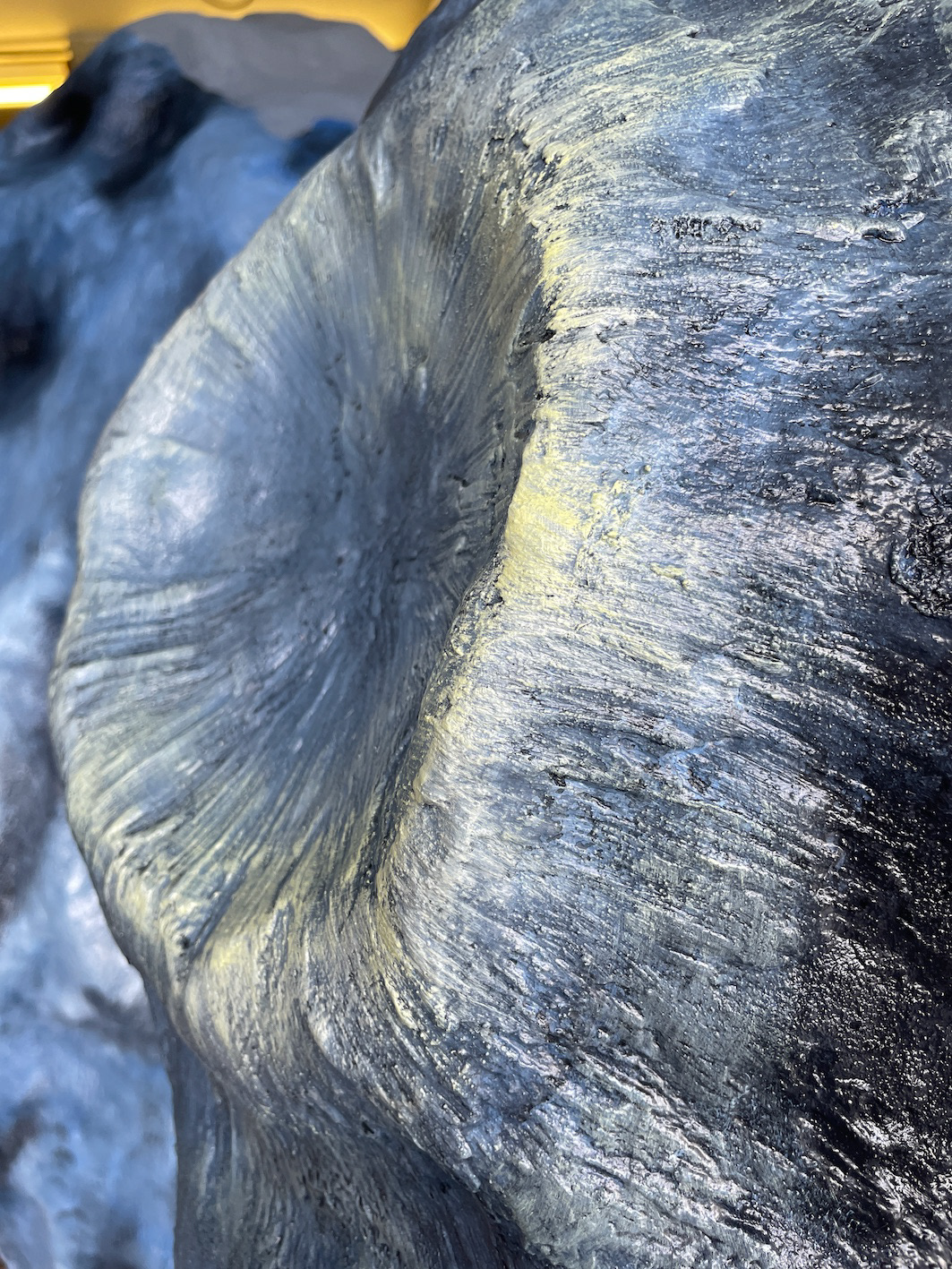 CLose up Detail of First Law