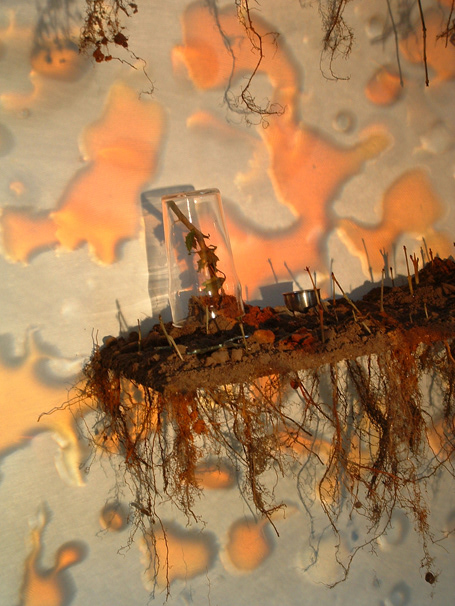 Aseptically Pleasing - Sold Private Collection, Edition 2/2