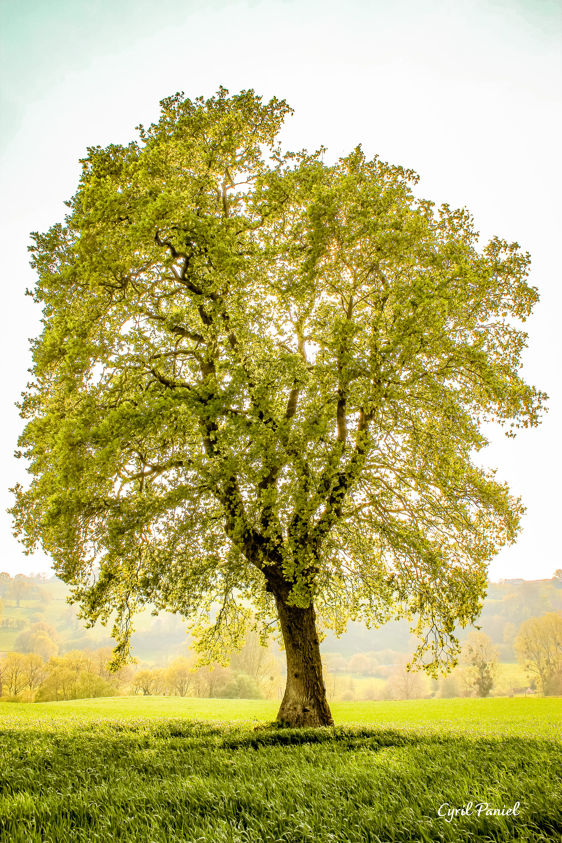 La Vallée de la Vire, Fourneaux