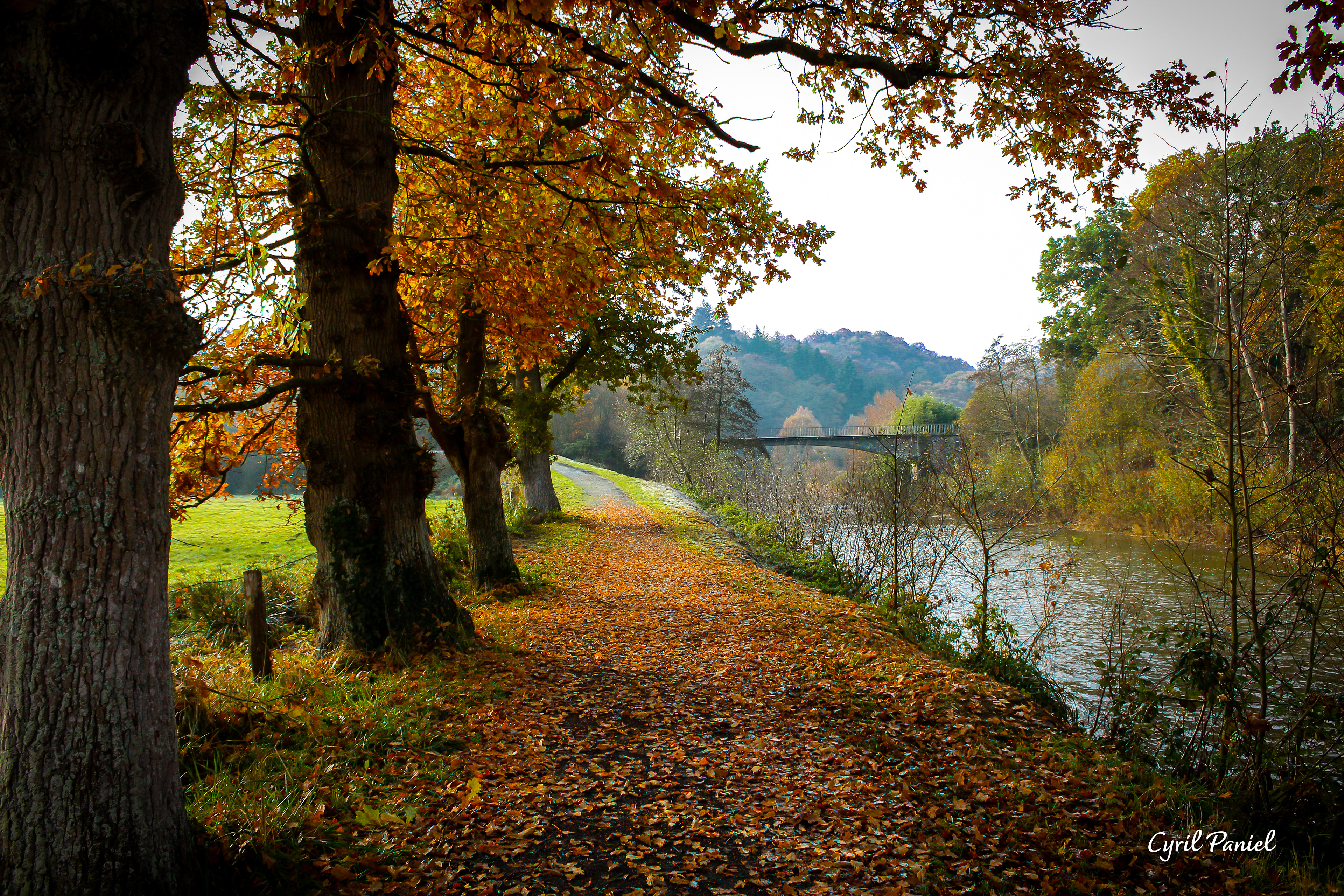 Chemin de halage, Condé-sur-Vire