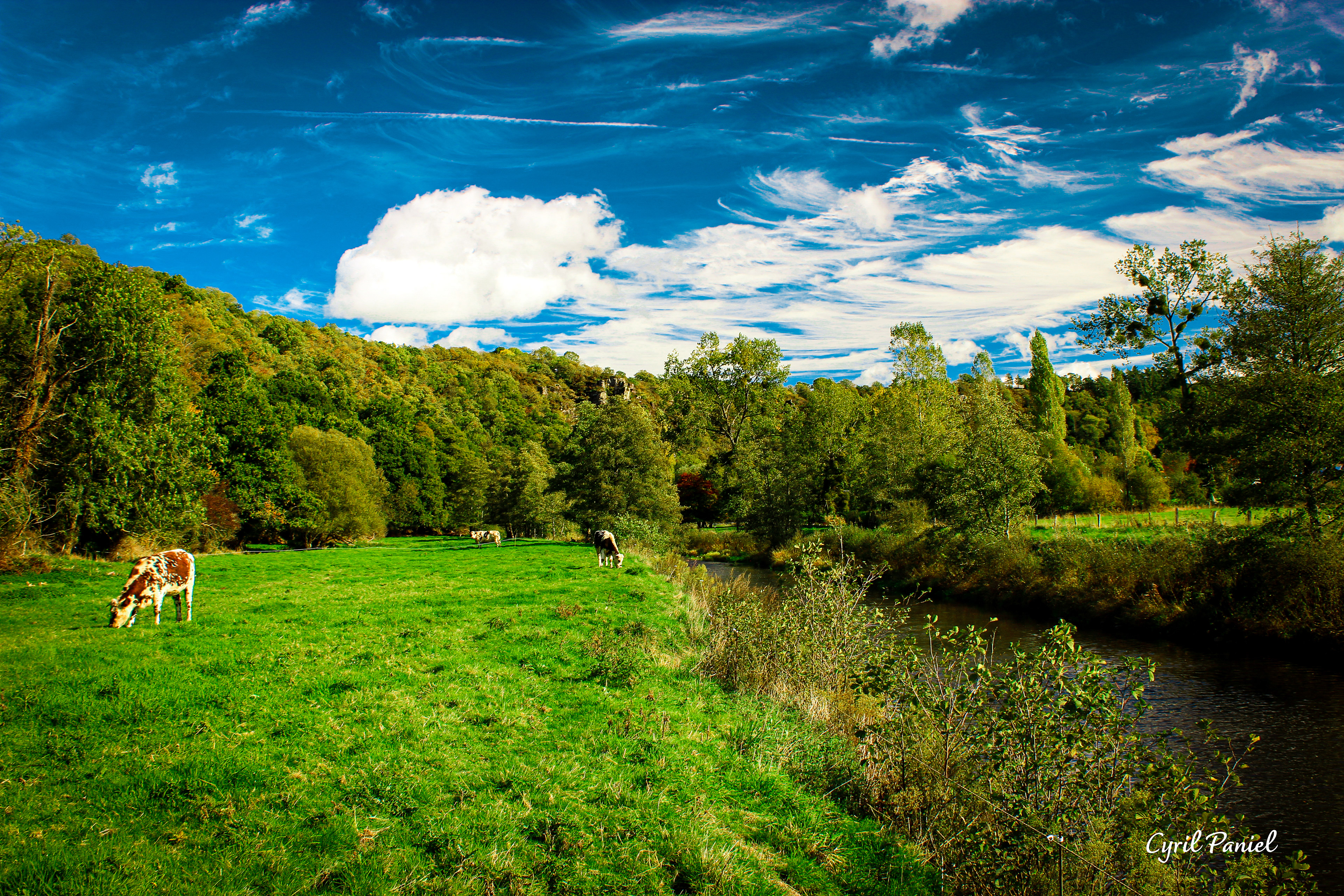 La Vallée de la Vire, Mesnil-Raoult