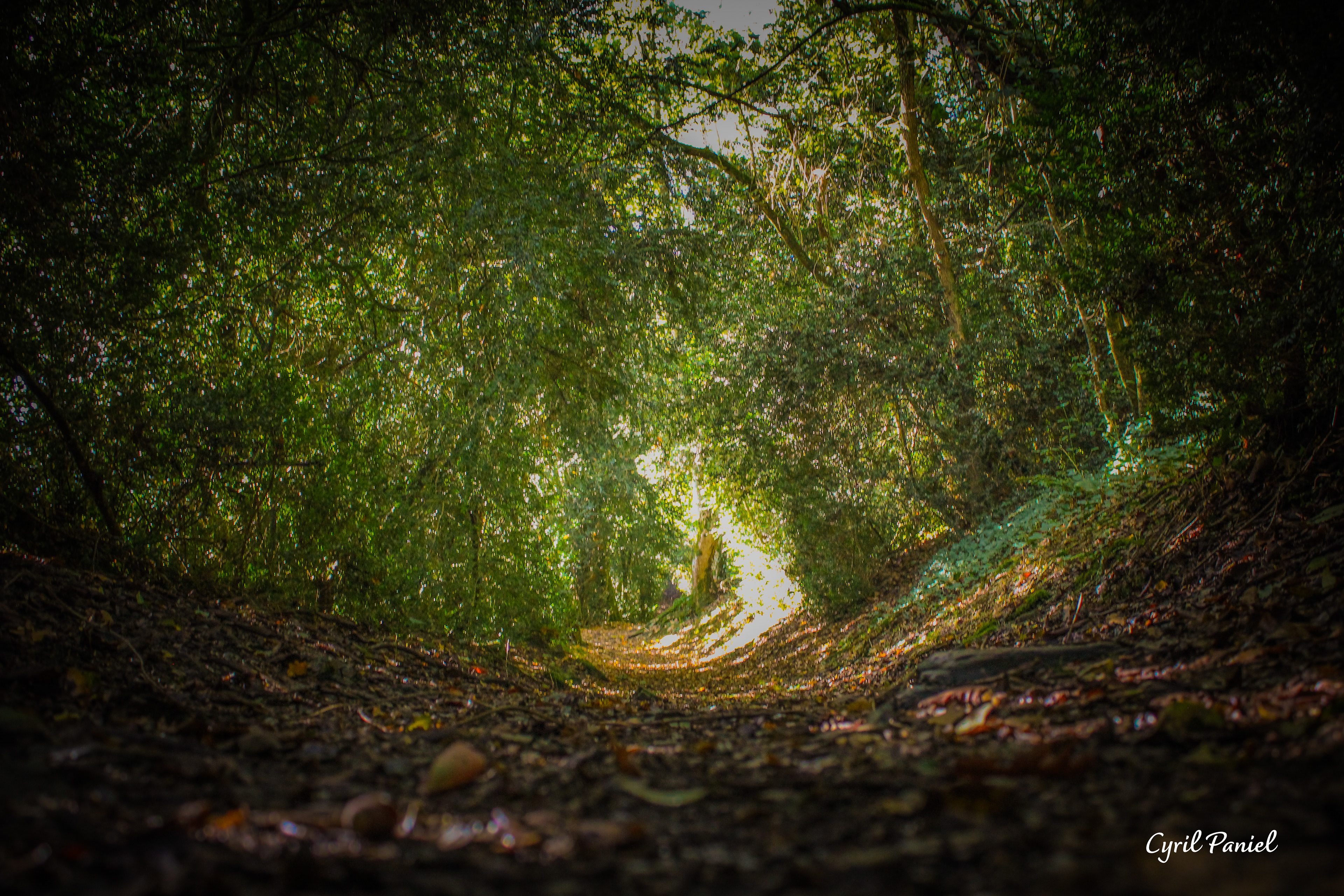 Le Sentier des Roches de Ham, Mesnil-Raoult