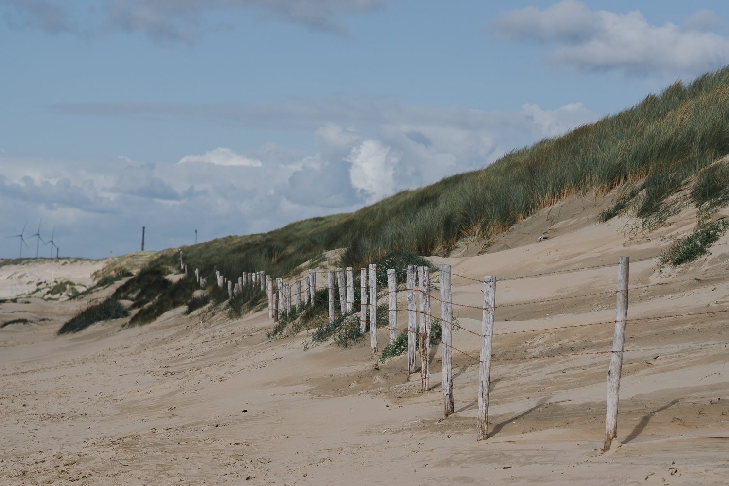 Dünen in Zandvoort