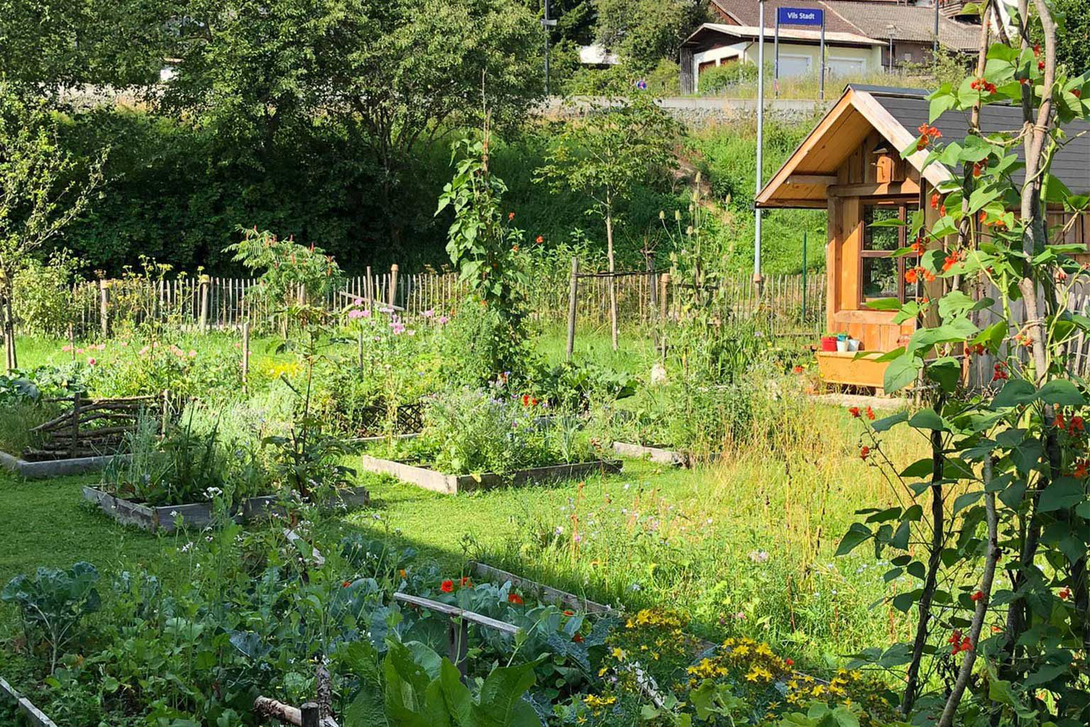 Alexander Dirr - Garten in Vils