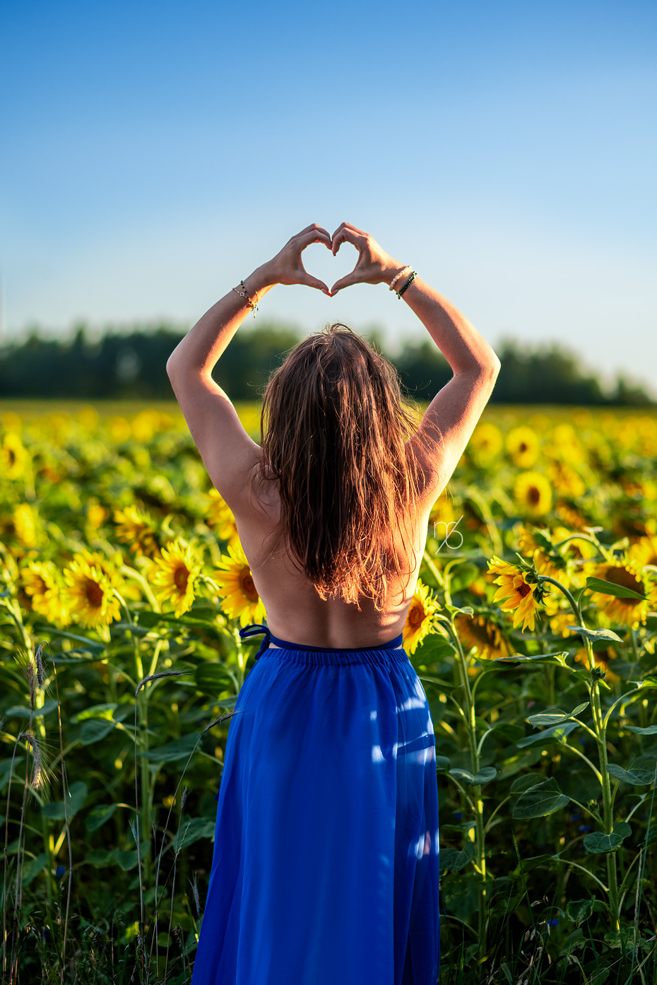 Heart of Summer | Sunflower Portrait Photography | Martyna Osuchowska Photography