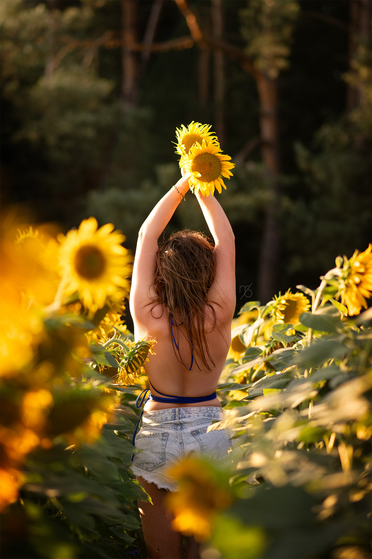 Sunflower Glow | Summer Portrait Photography | Martyna Osuchowska Photography