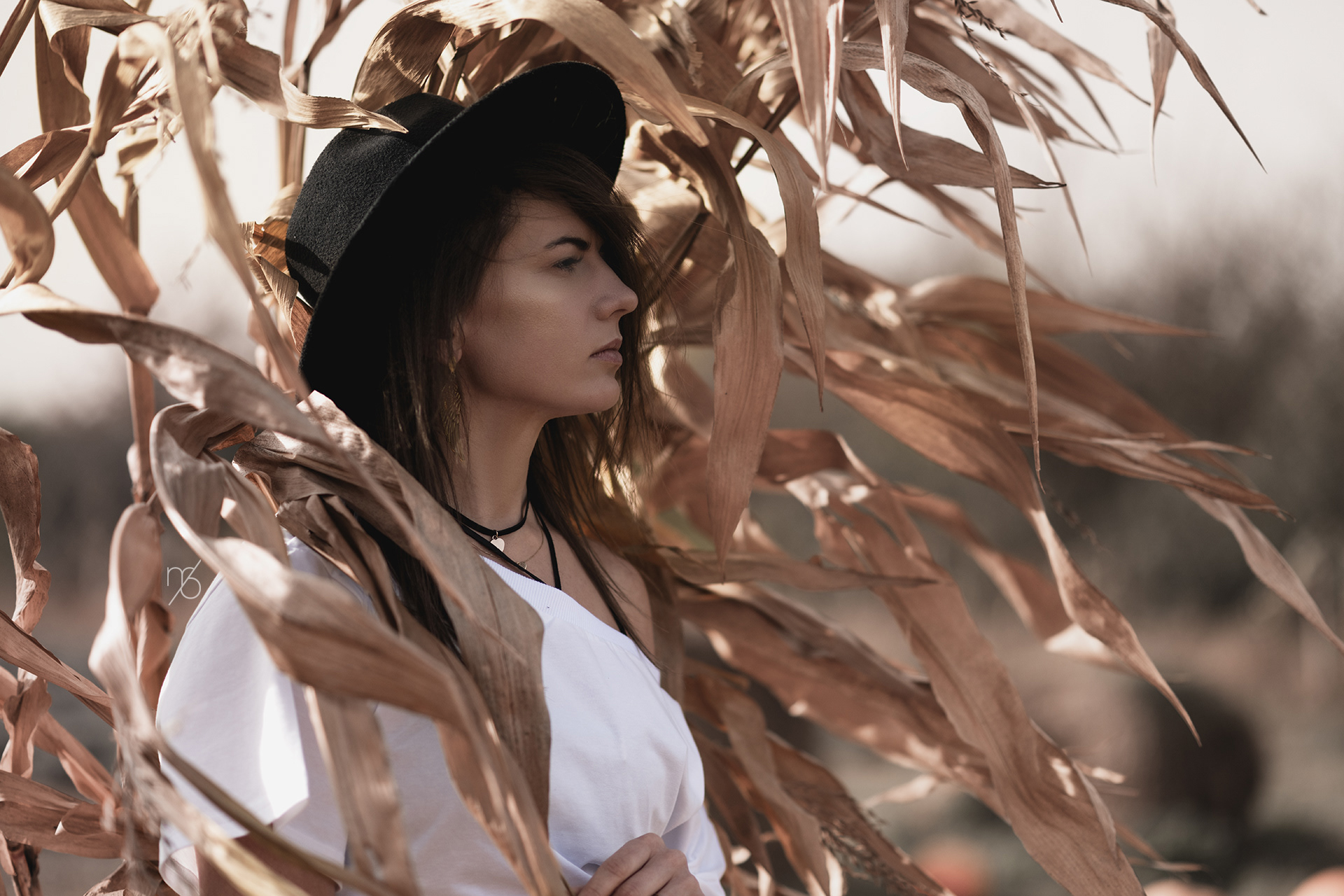 Golden Fields | Lifestyle Portrait Photography | Martyna Osuchowska Photography