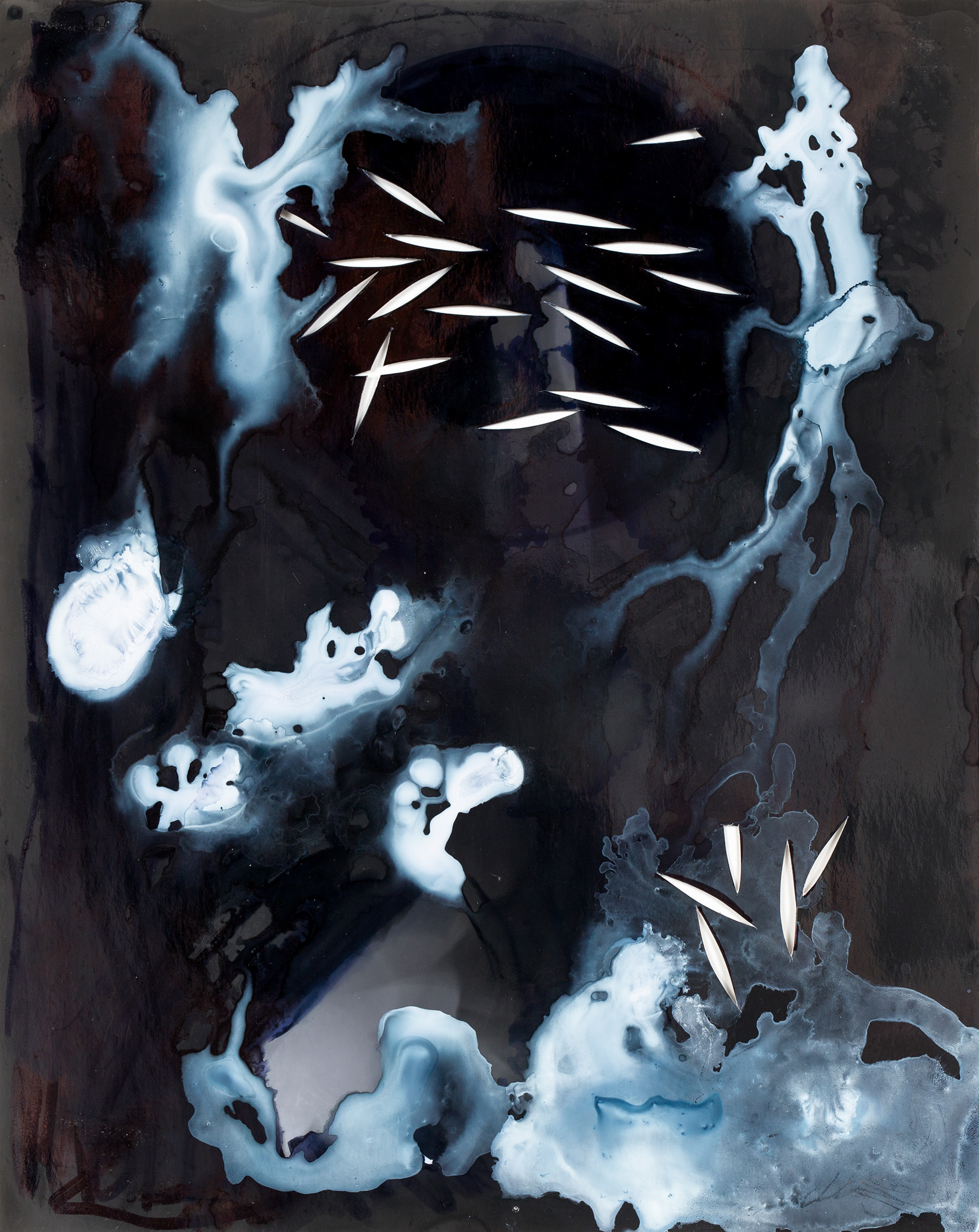 Cosmos 1. Encre, feutre et découpes sur photogramme. 8po x 10po