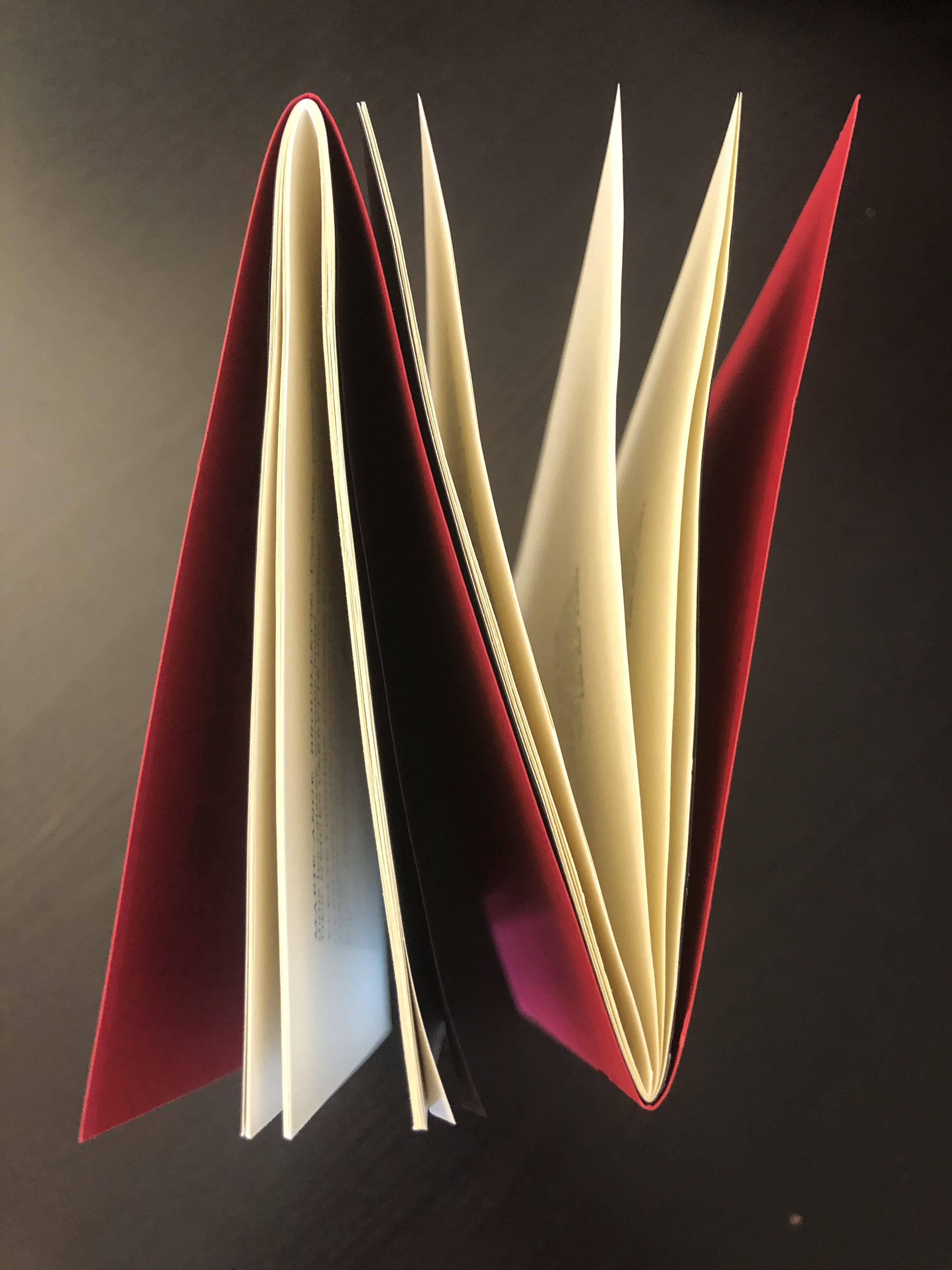 reliure dos-à-dos des livres