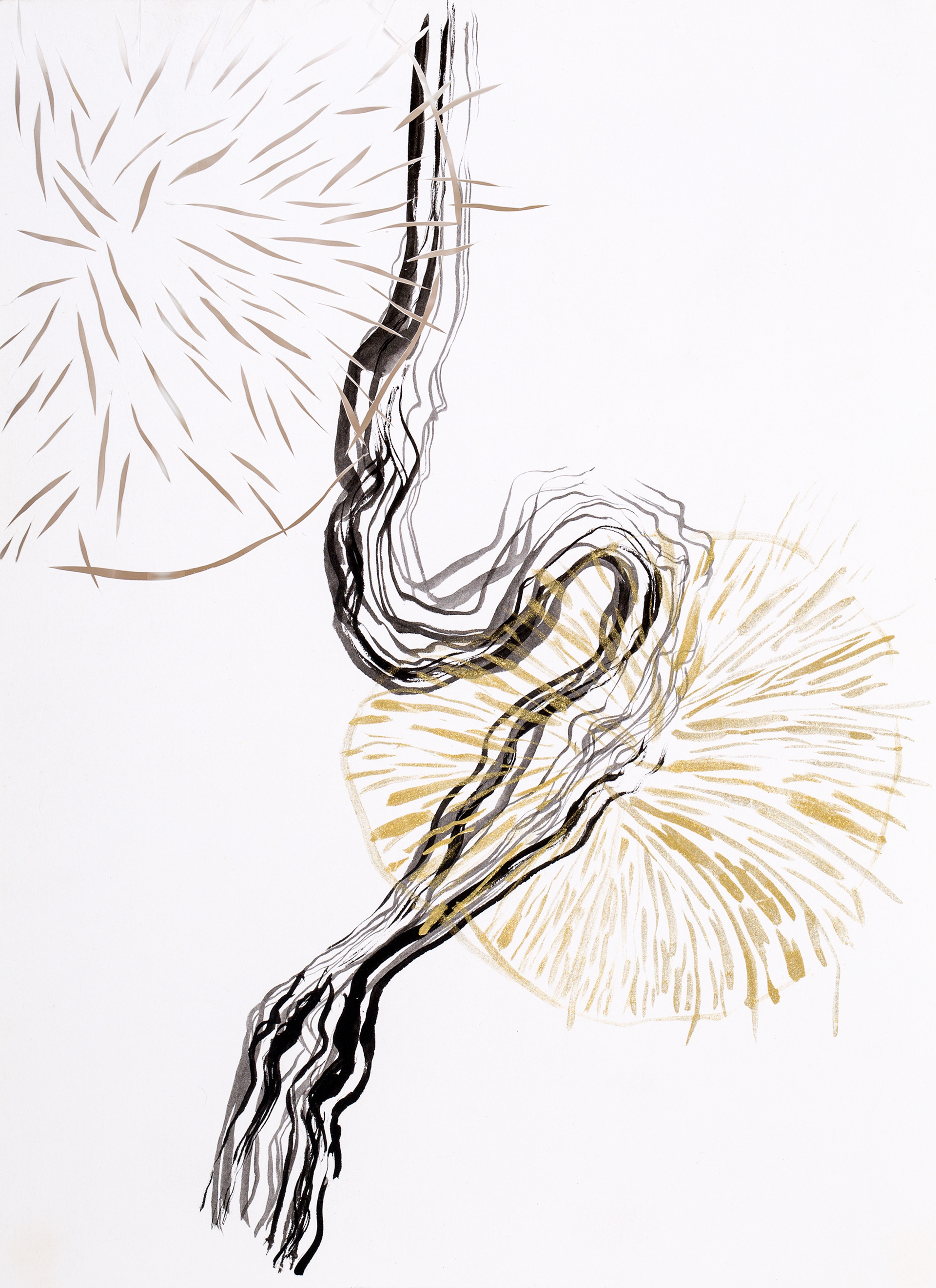 Danse de nidation..1998. Encres japonaise et découpes sur papier. 5.5 po x 8po
