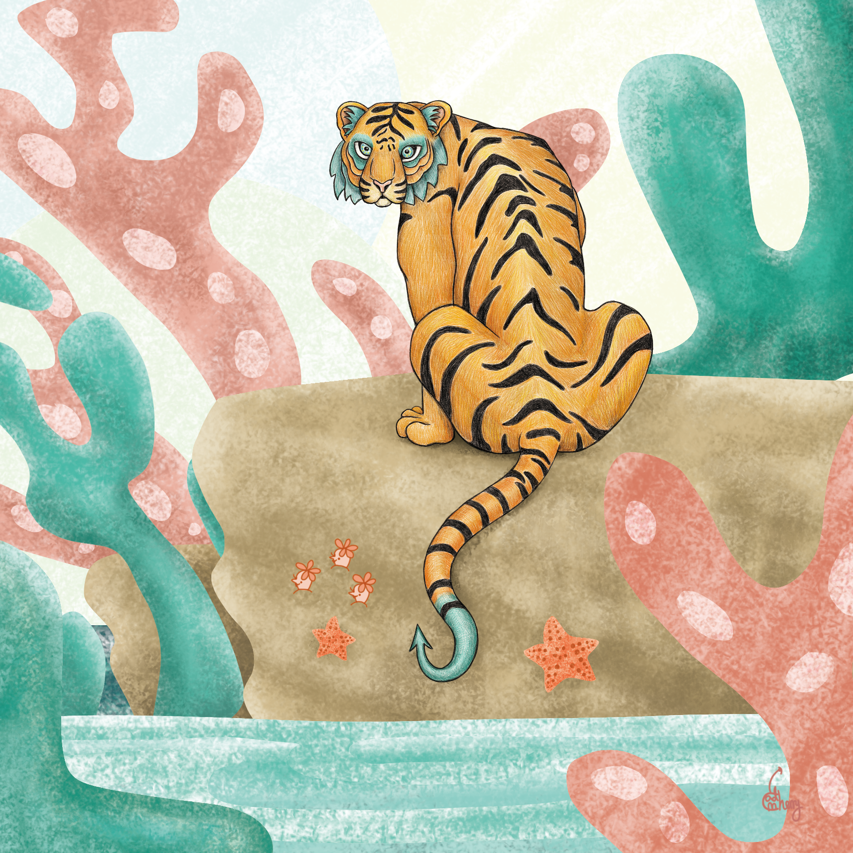 Hook-tail Tiger