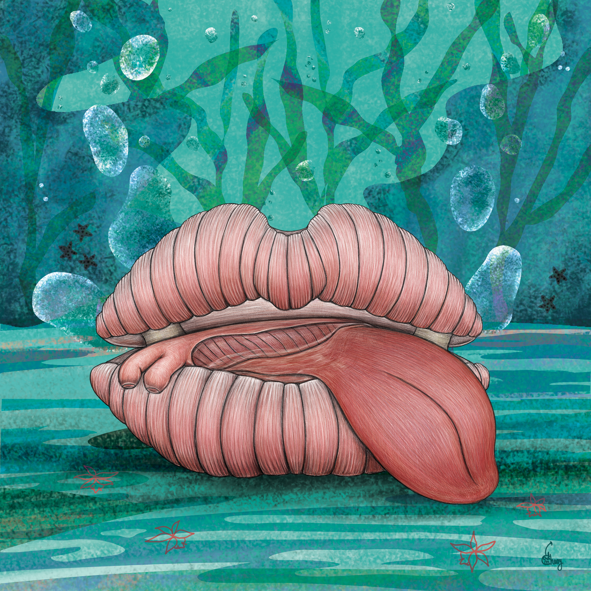 Lip Clam