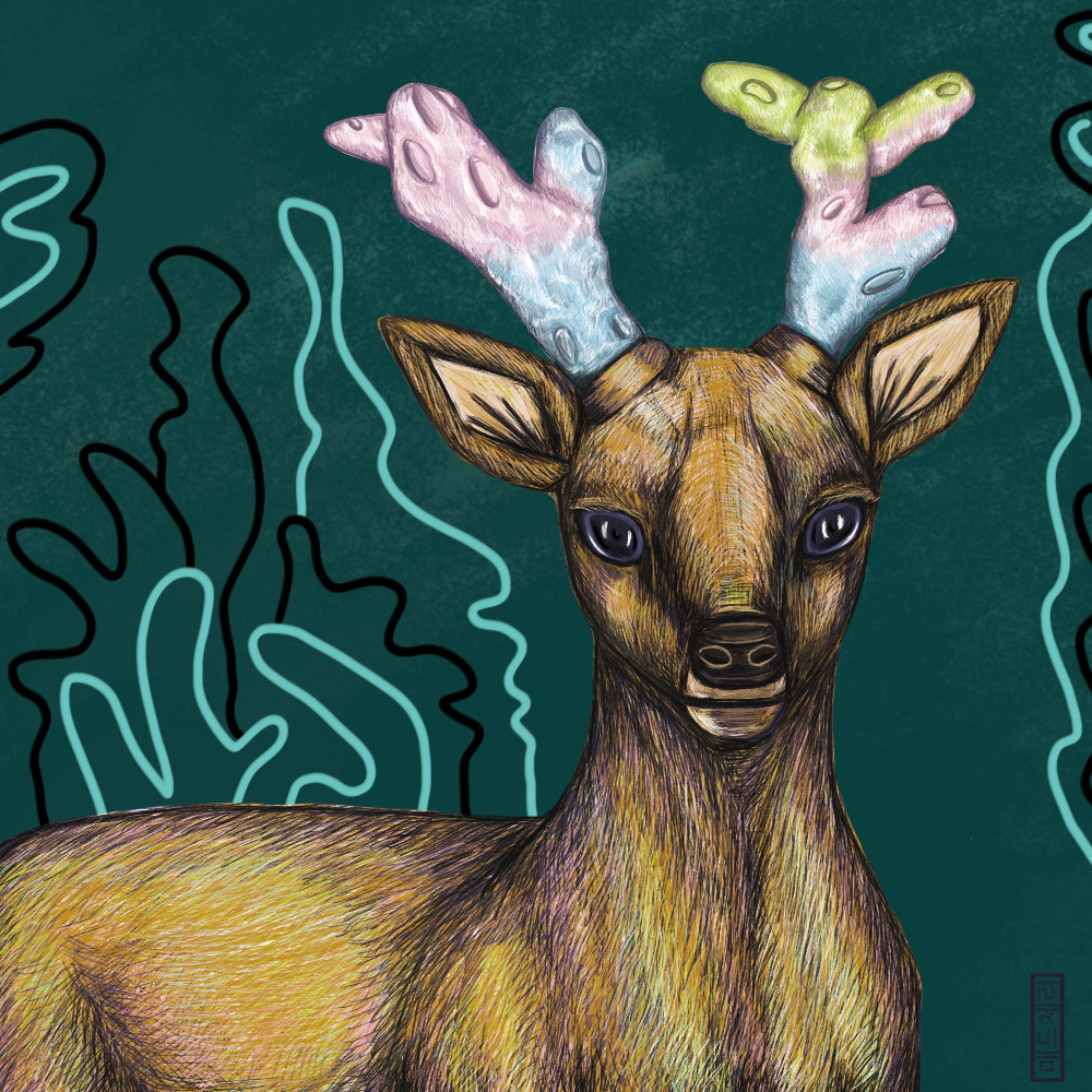 Coral Deer