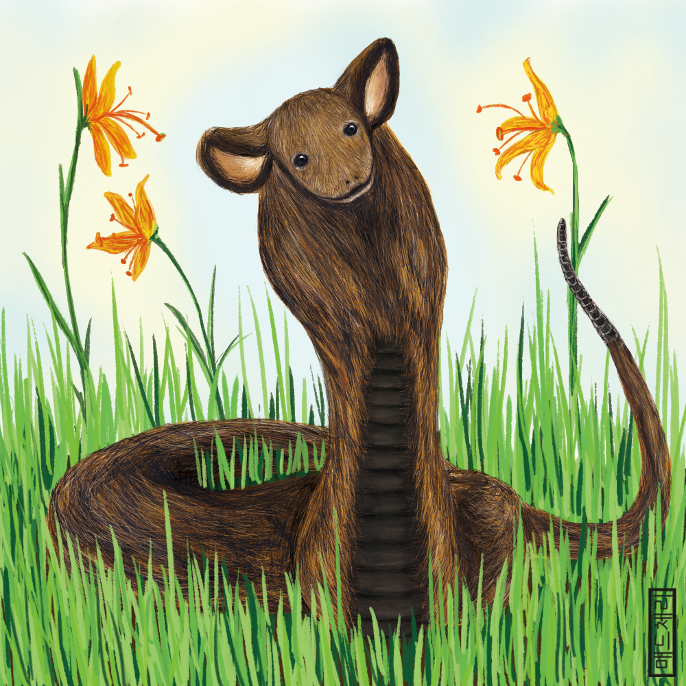 Mouse-rattlesnake