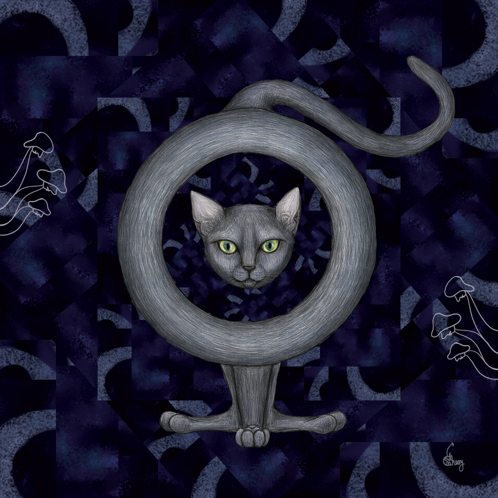 Magnetic Cat