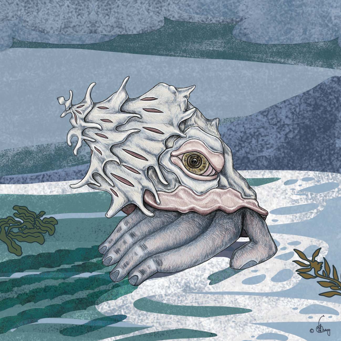 Finger Conch