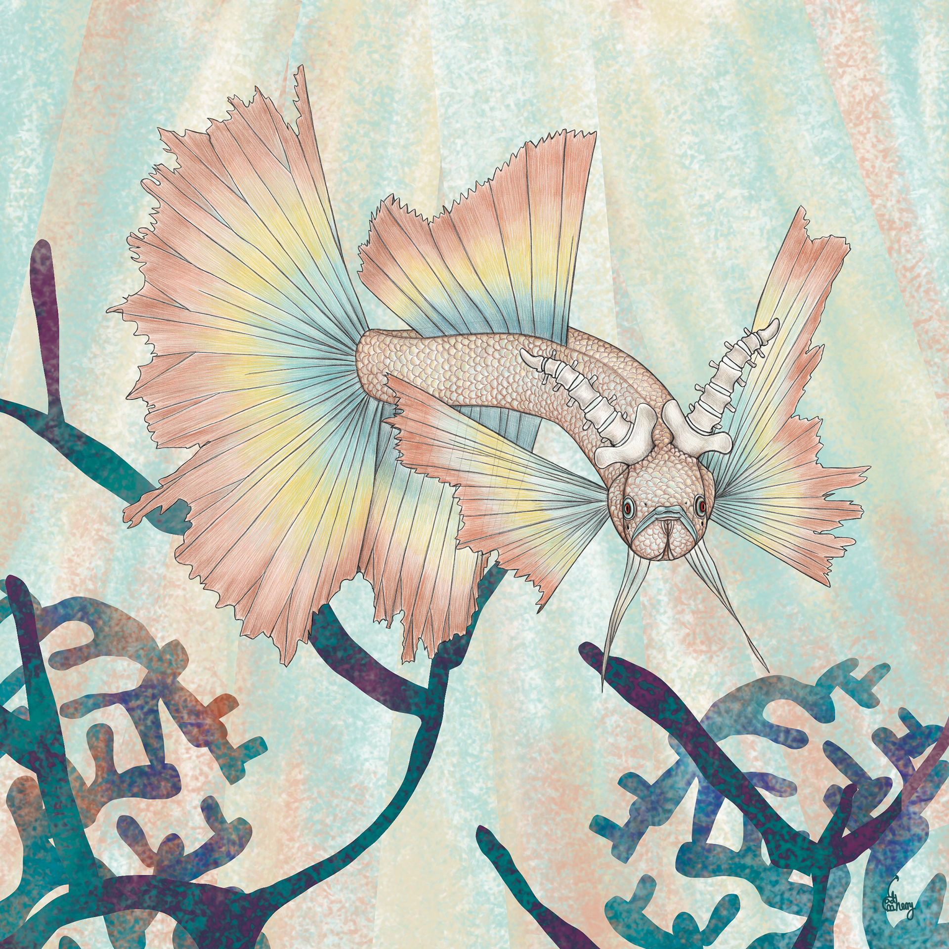 Spine-Horned Fish