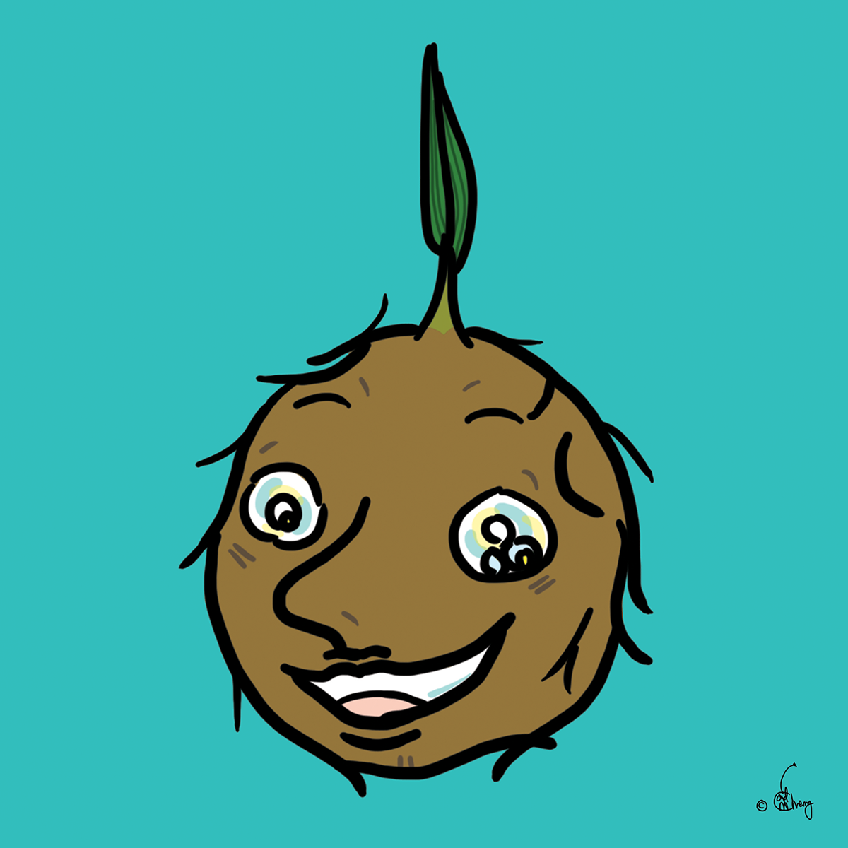 Jolly Coconut
