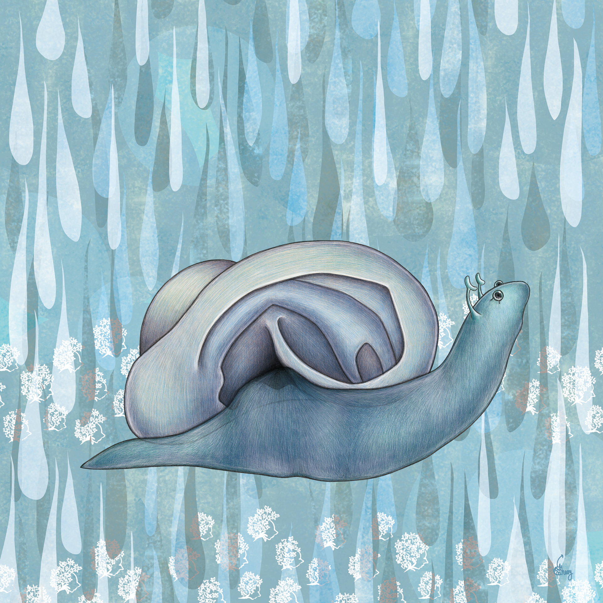 Ear Snail