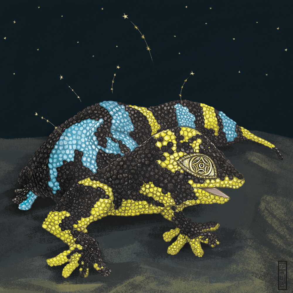Star-eyed Gecko