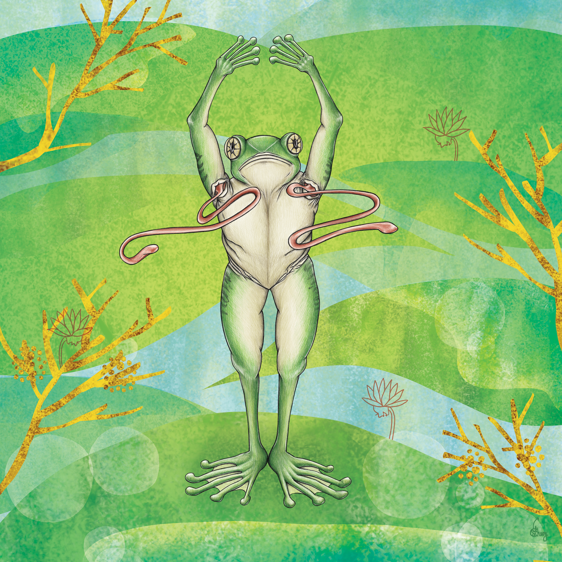 Armpit Frog