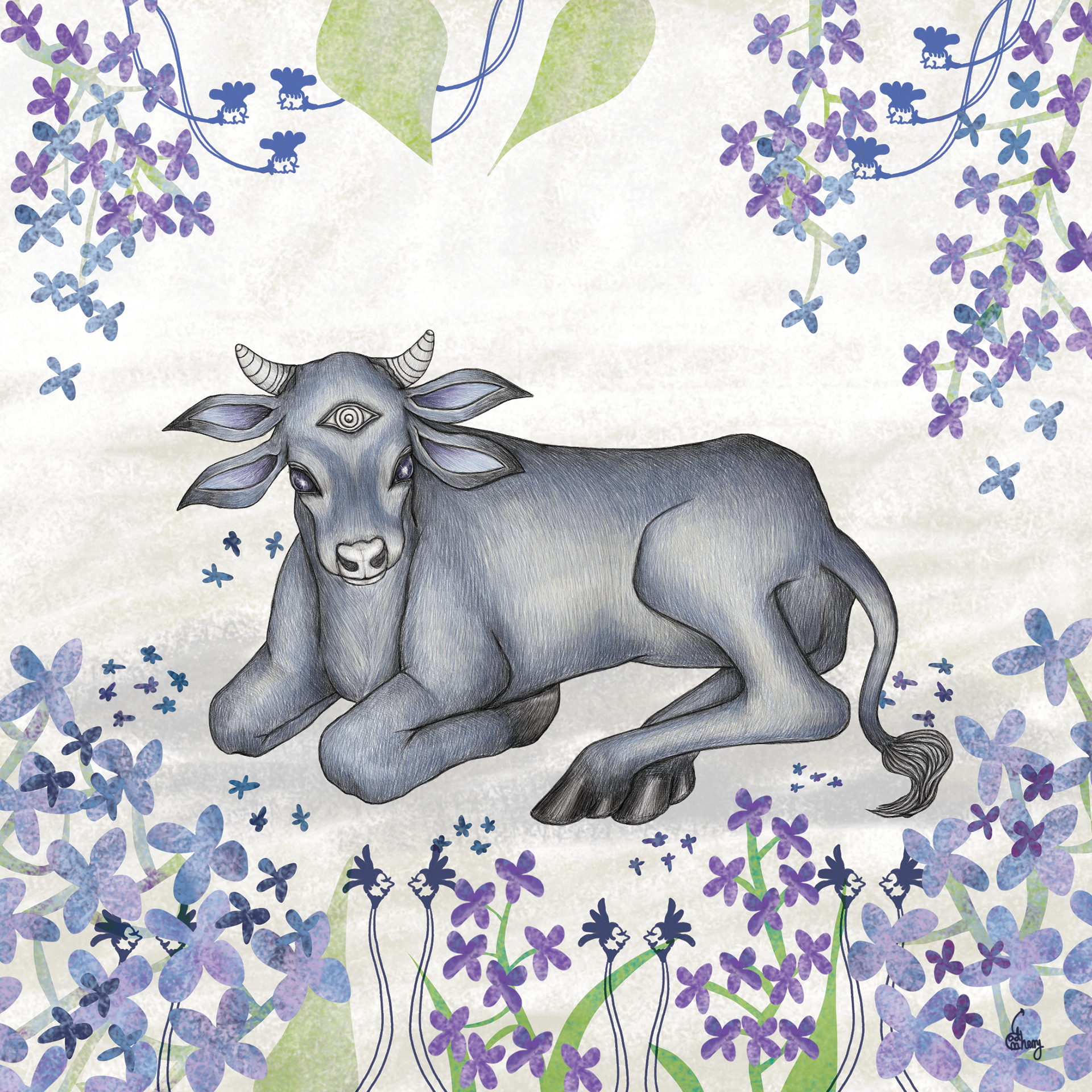 Plaster-eye Calf