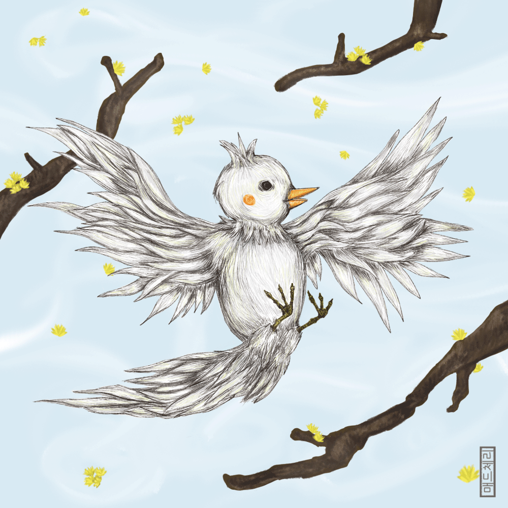 White Long-haired Bulbul