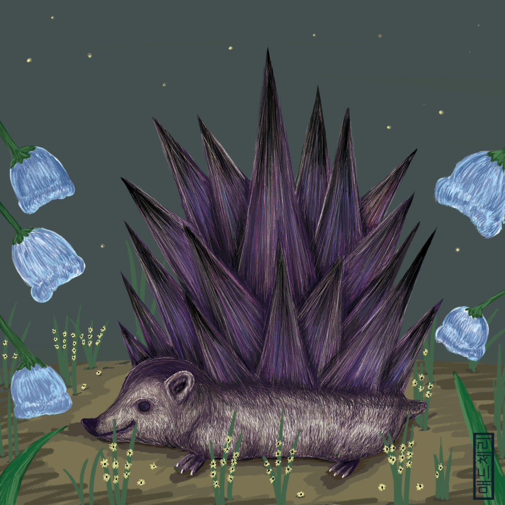 Large Thorn Hedgehog