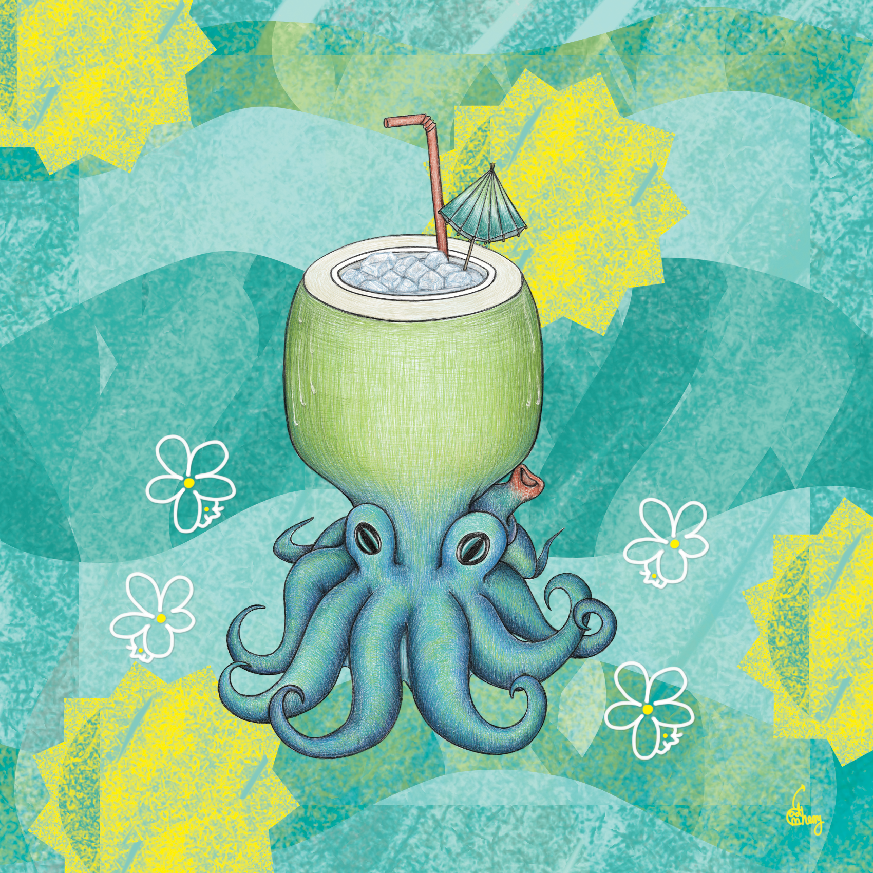 Coconut-head Octopus