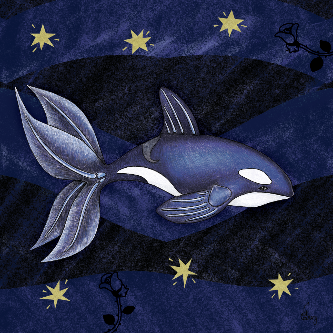 Finned Orca