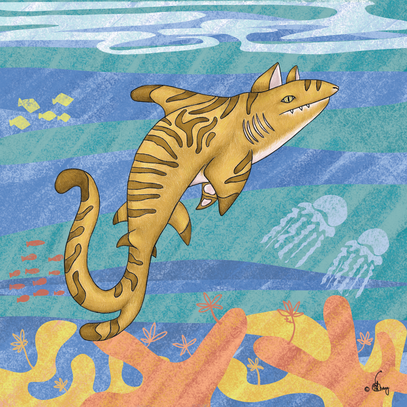 Cat Shark