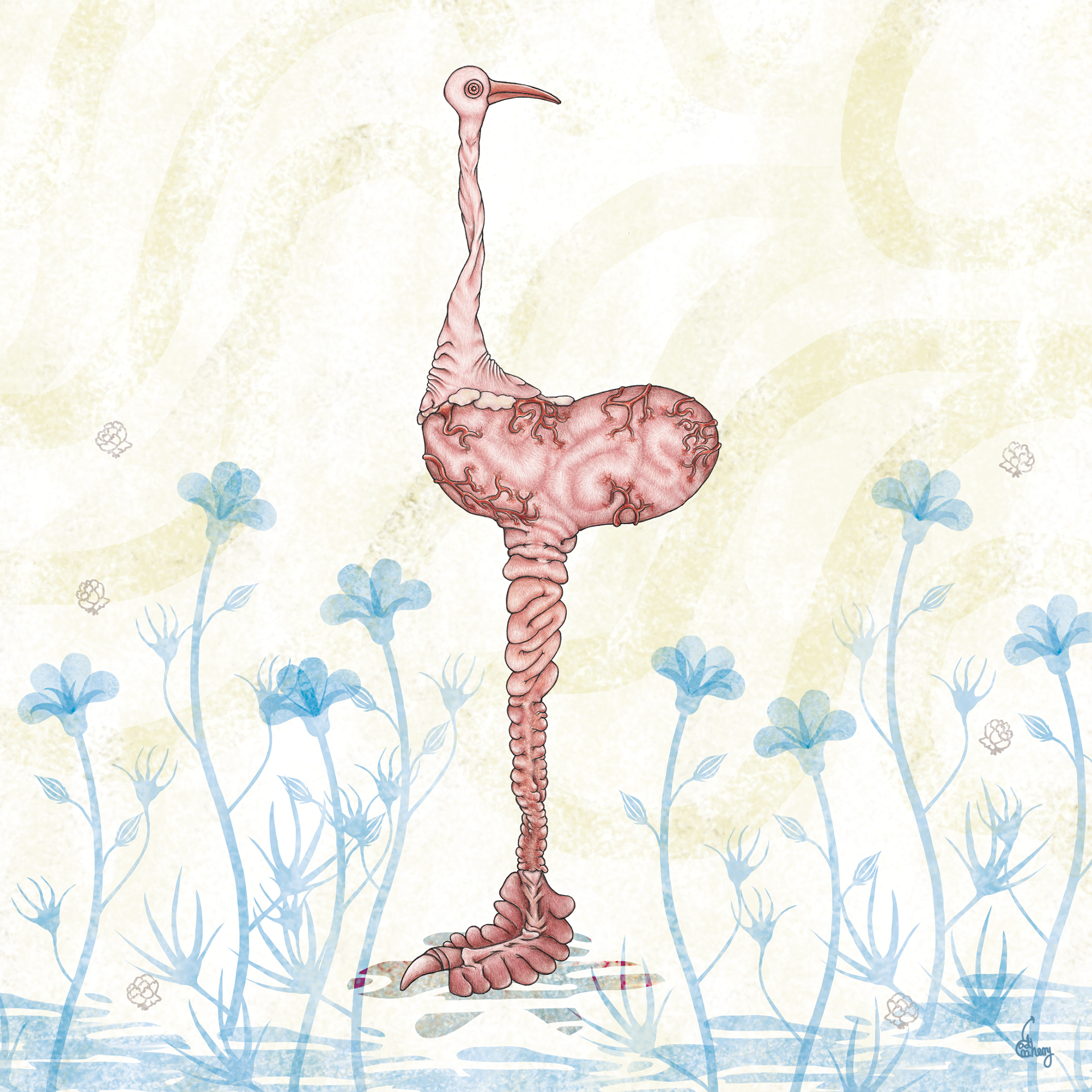 Gut Bird