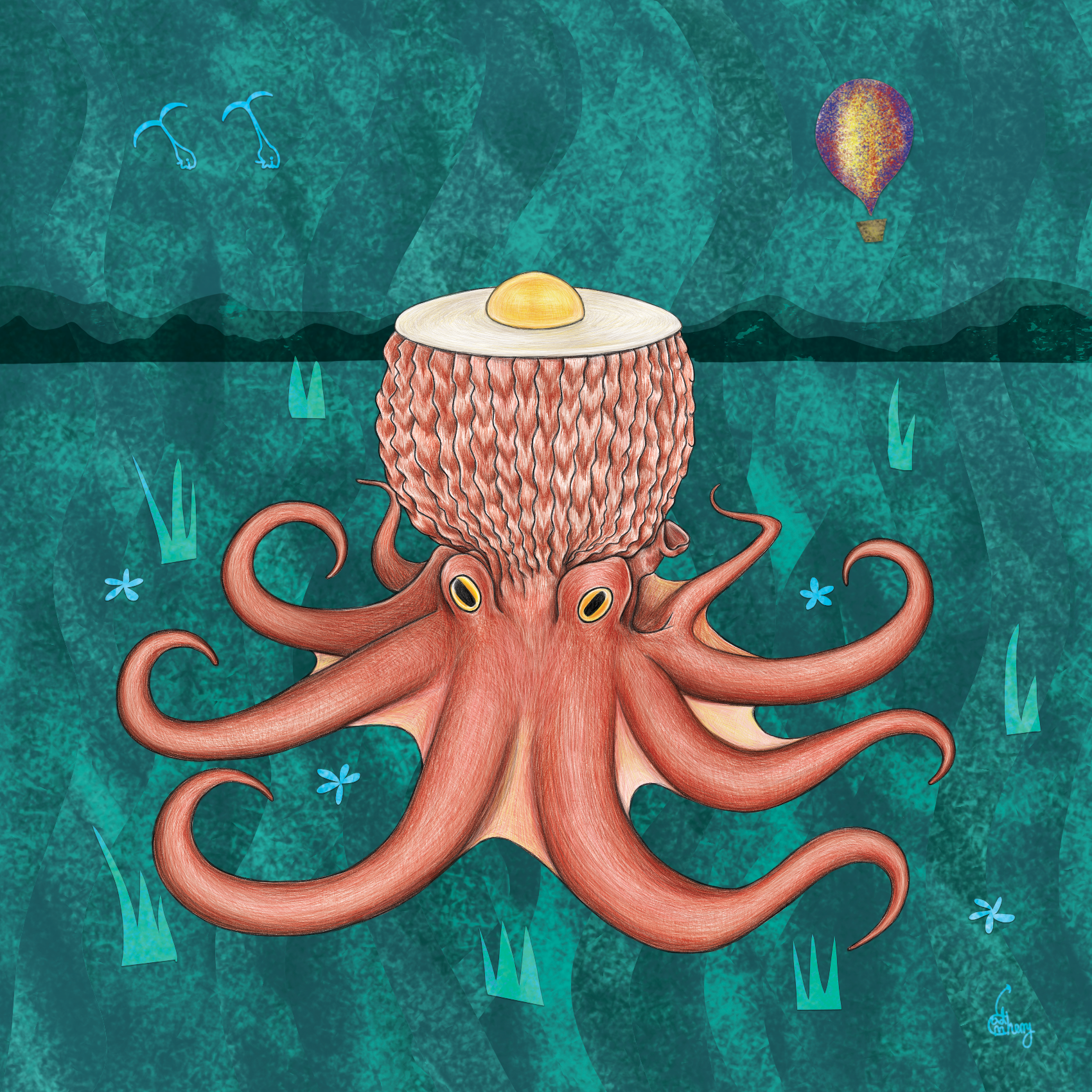 Egg-head Octopus