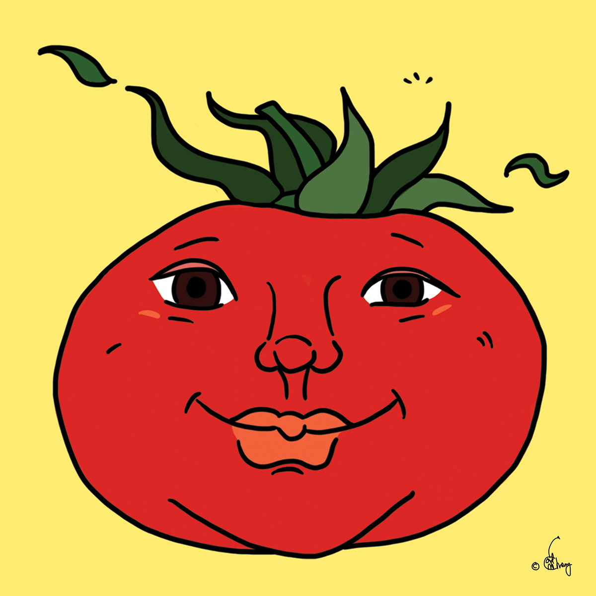 Daydreaming Tomato