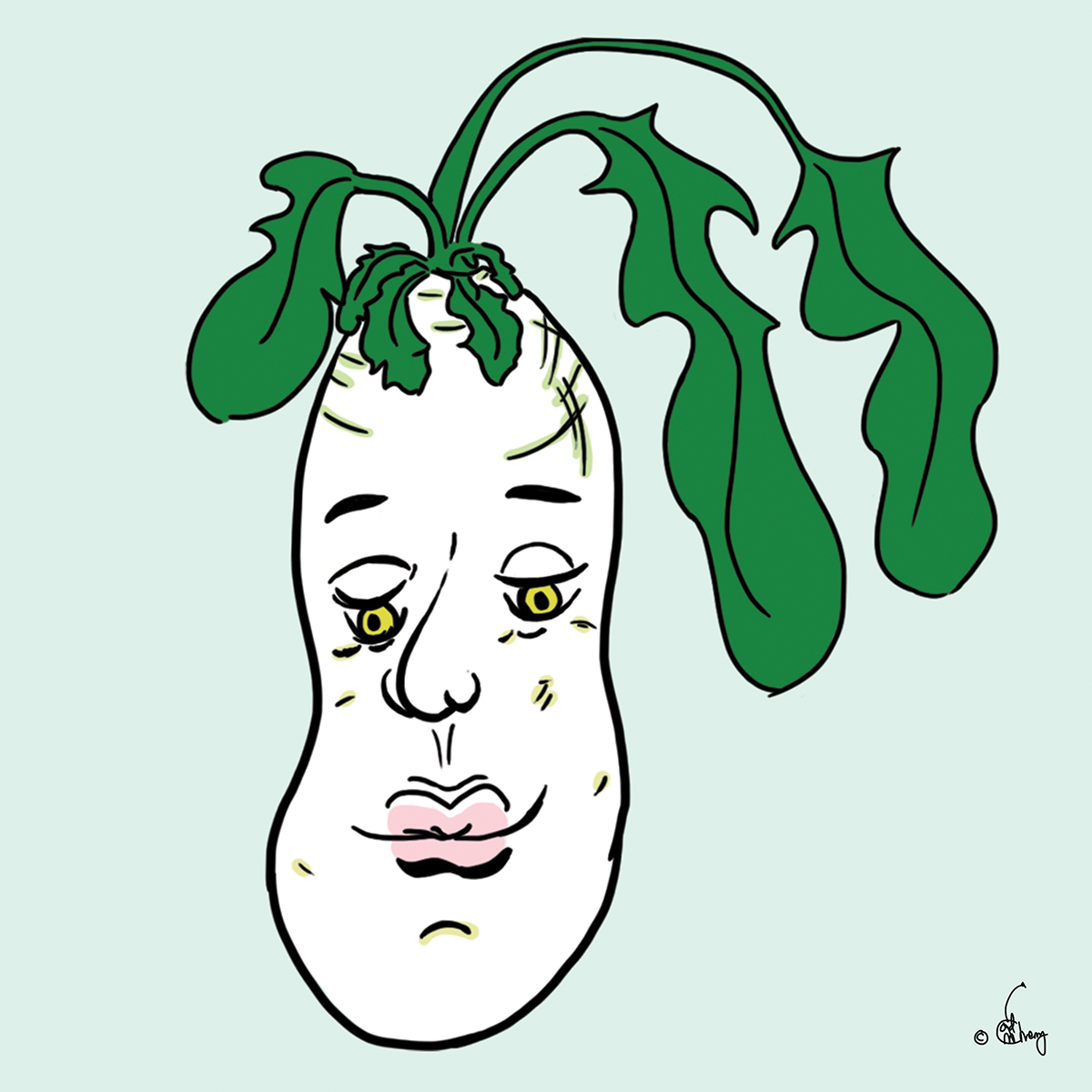 Nostalgic Ponytail Radish