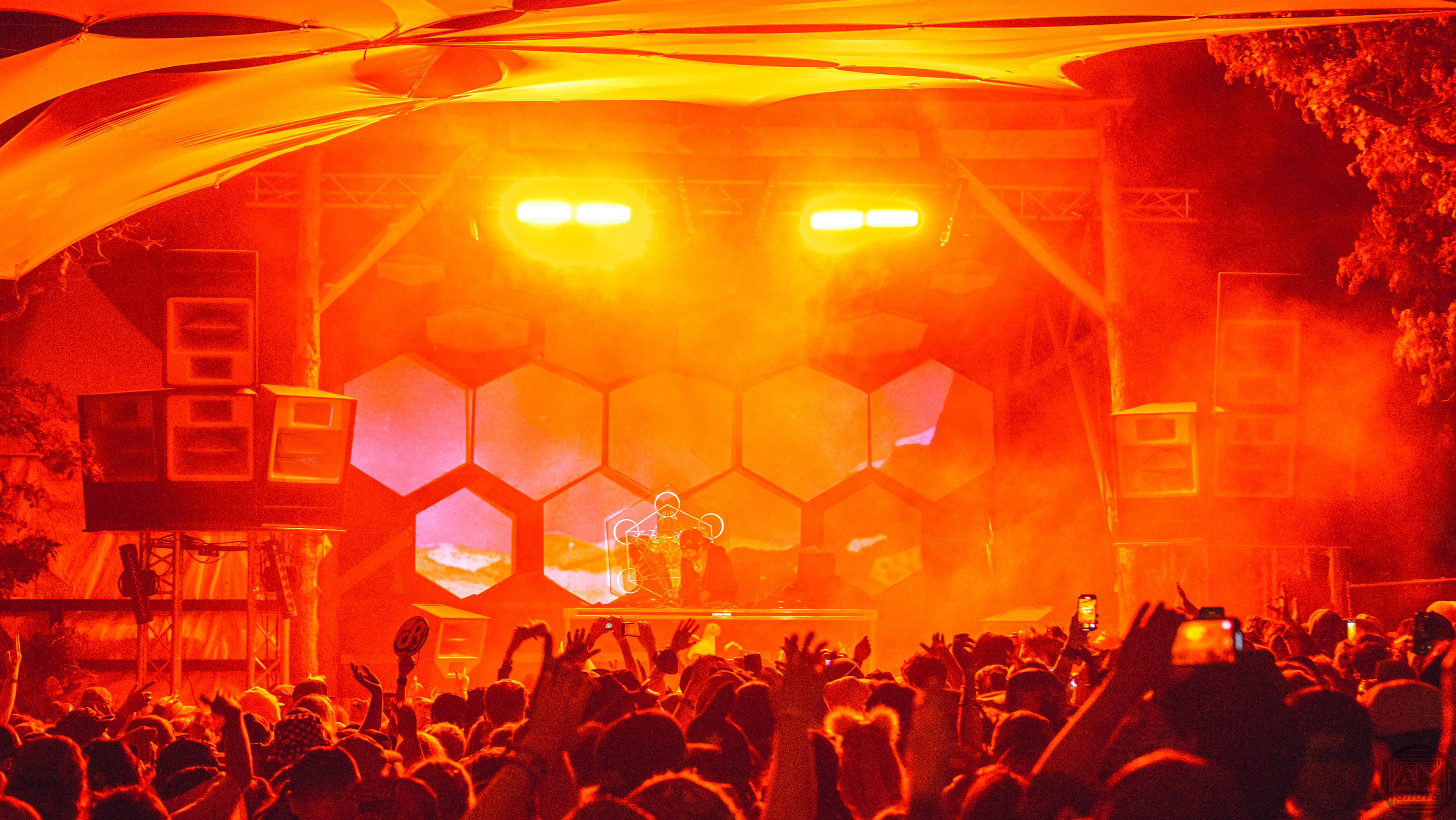 Daily Bread - Sonic Bloom '22