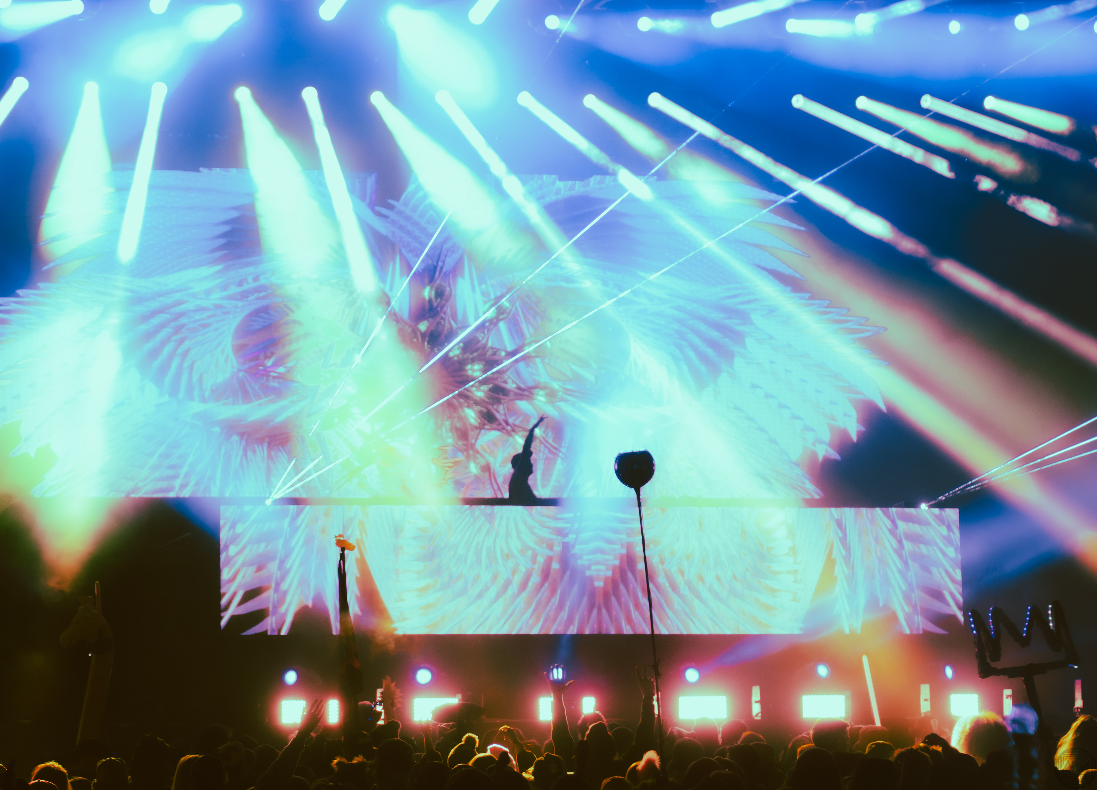 Of The Trees - Wakaan Music Festival '22