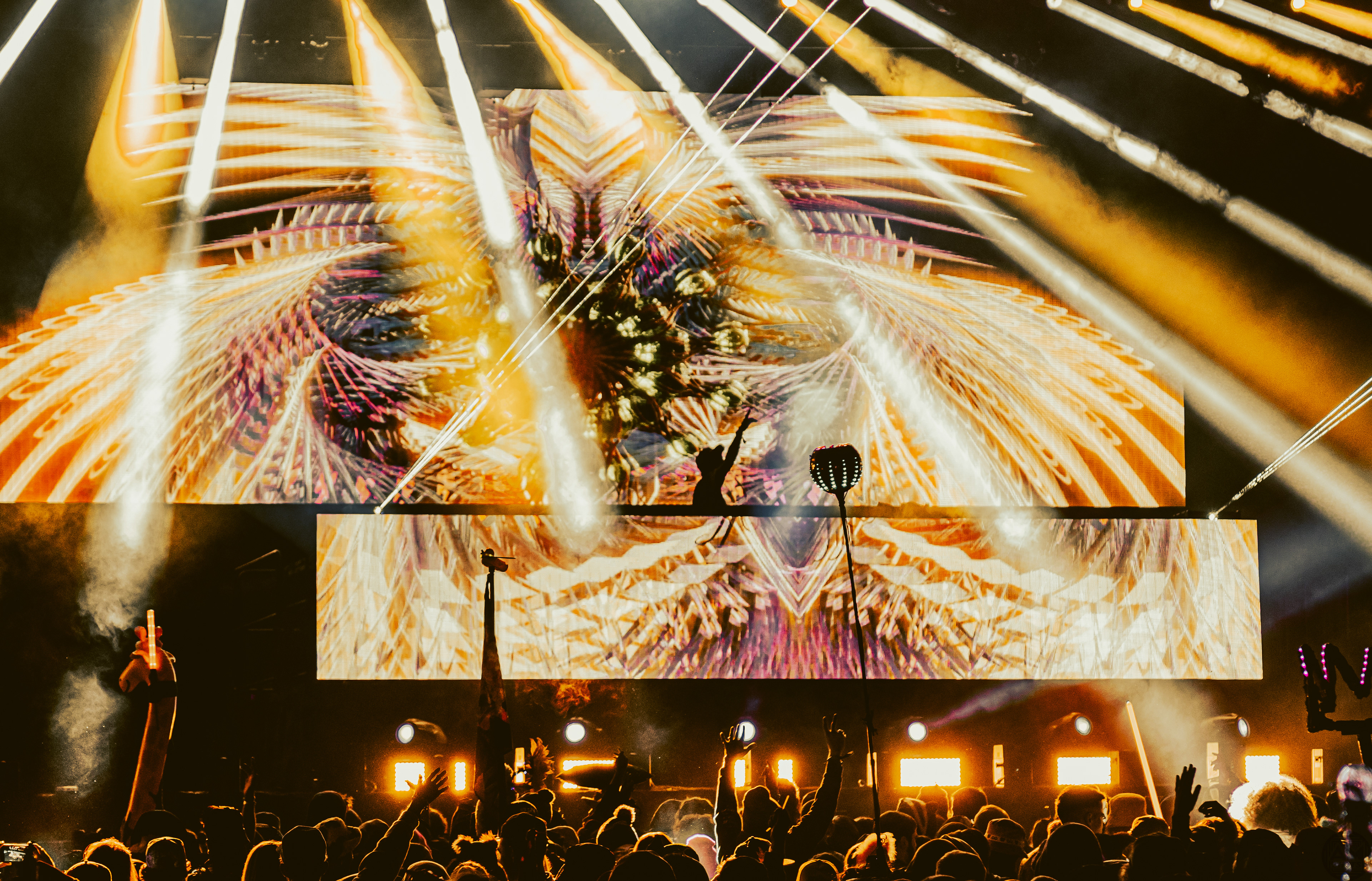 Of The Trees - Wakaan Music Festival '22