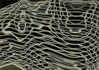 web scan