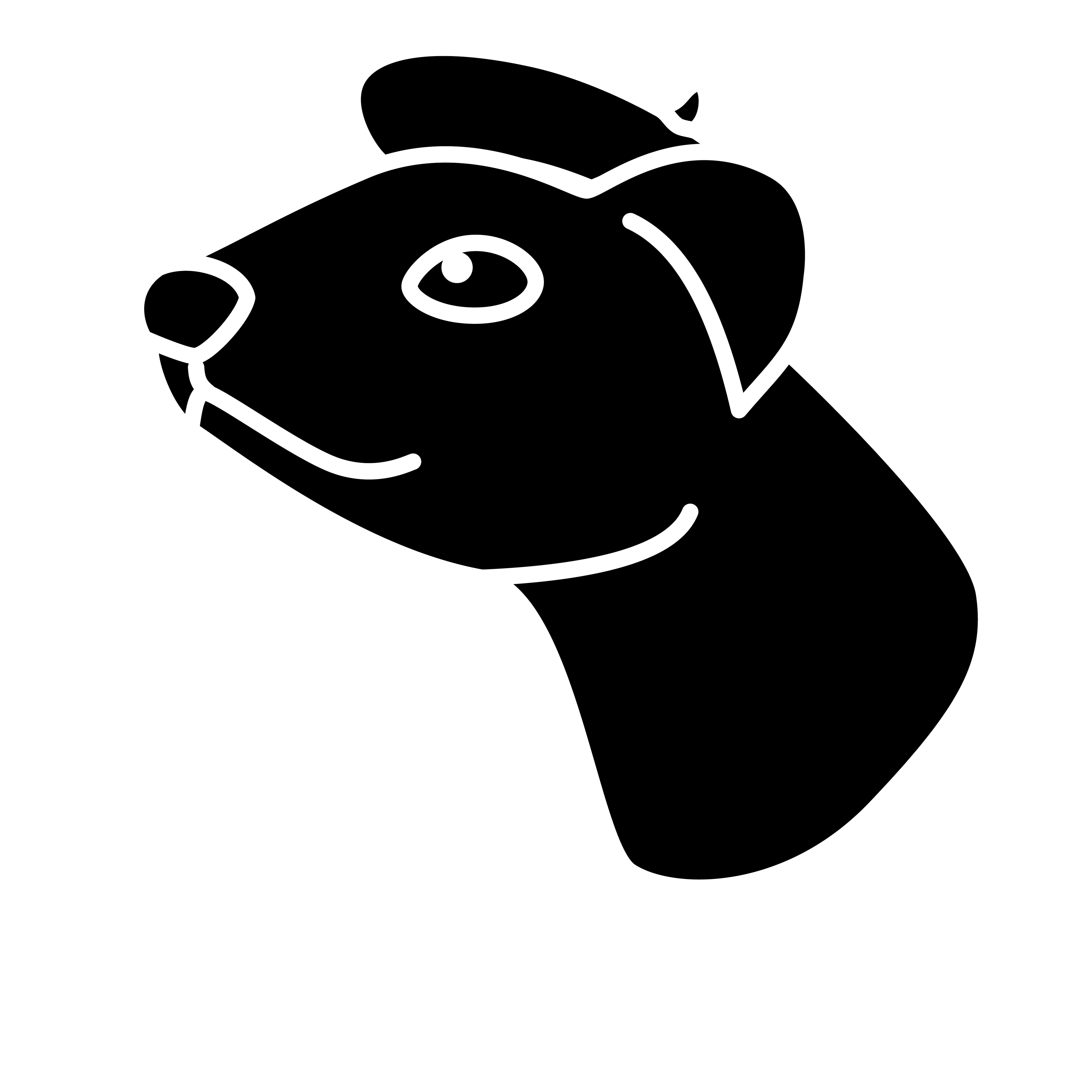Film Ferret Productions