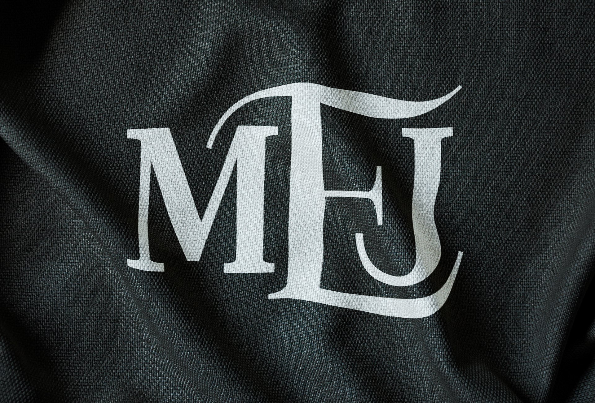 MEJ LOGO