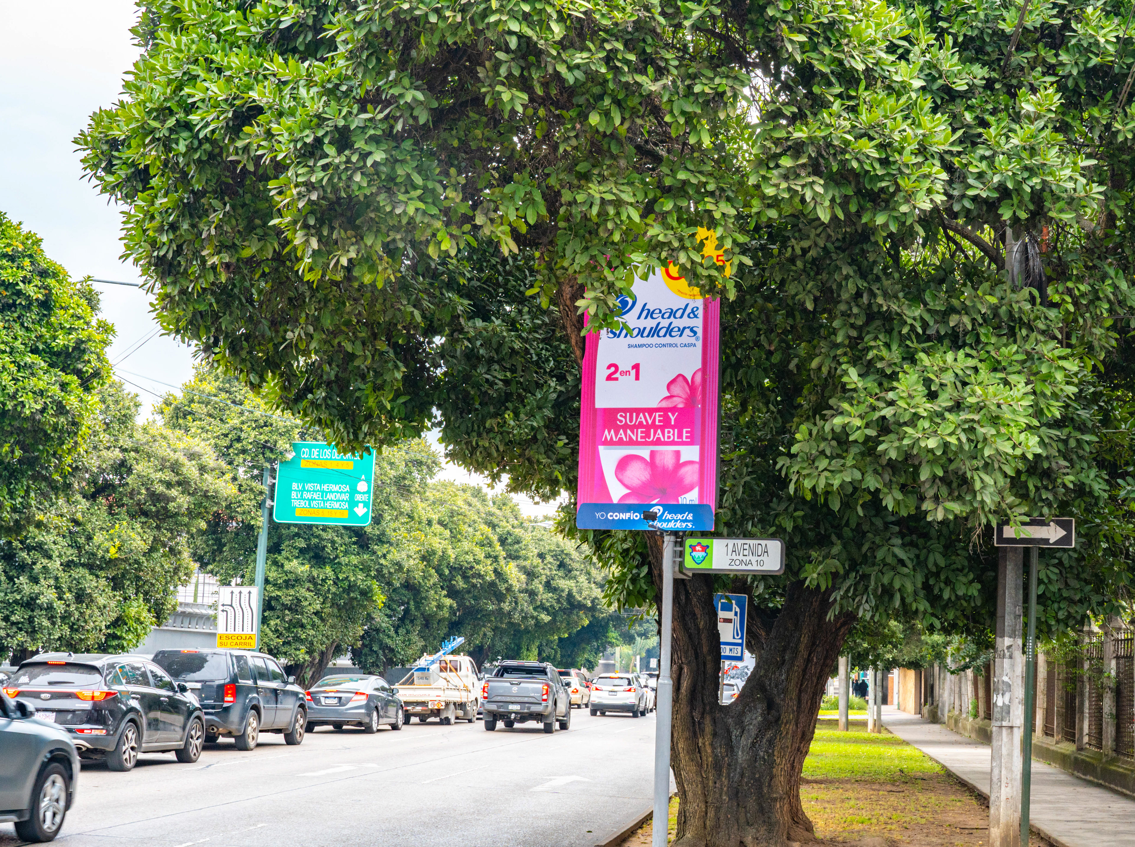 Campaña Head & shoulders Ciudad Guatemala
