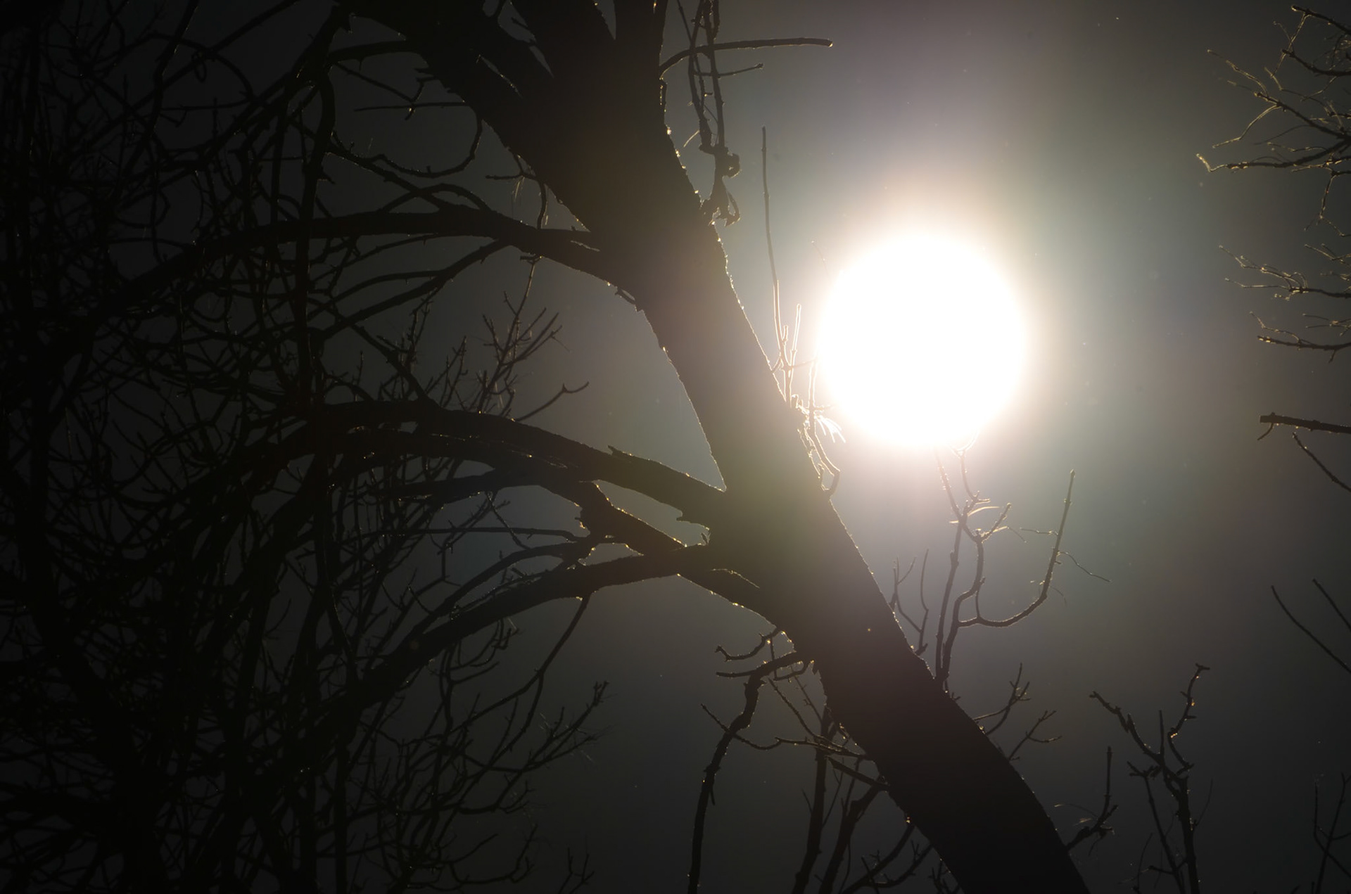 Late Afternoon