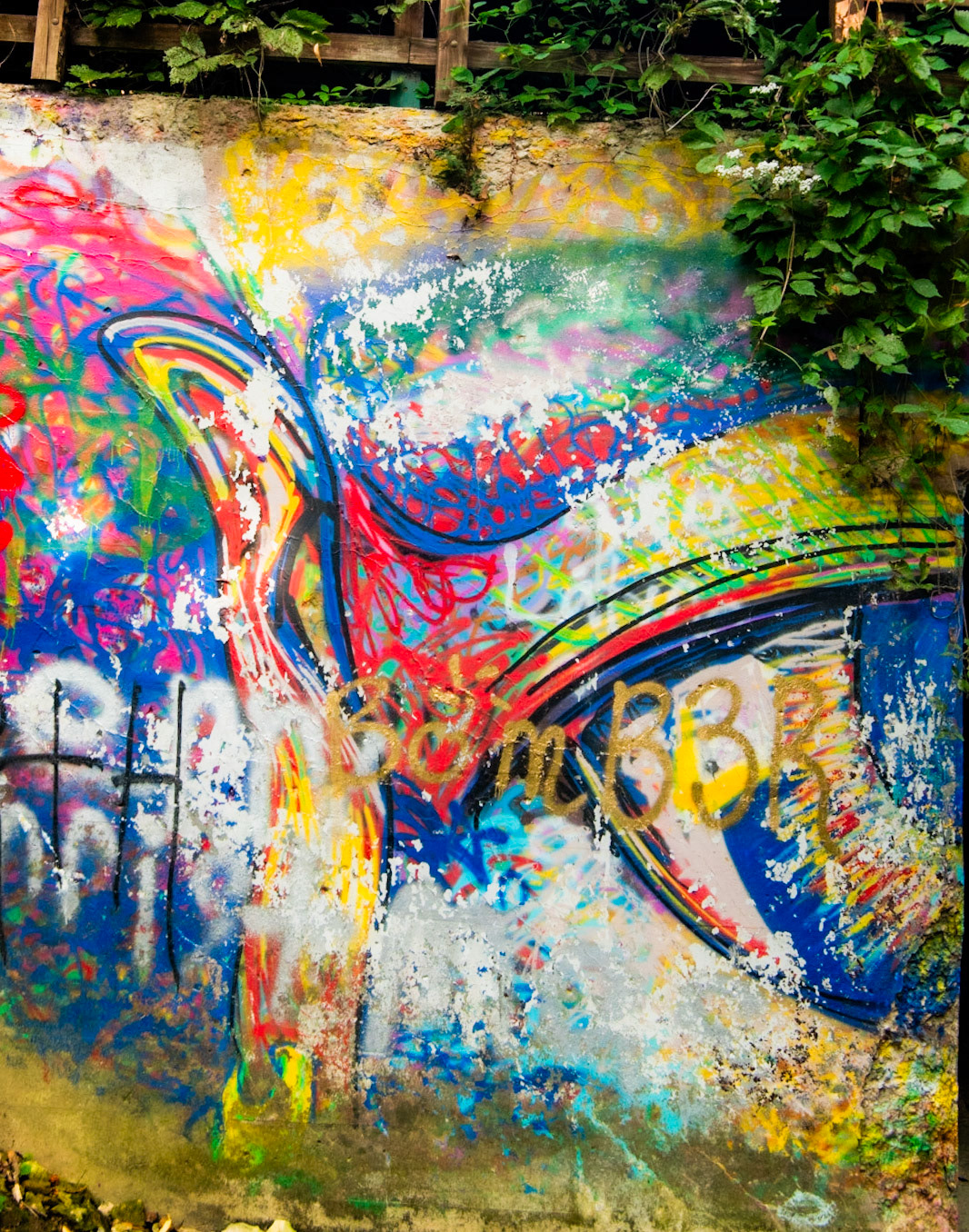 The Eye