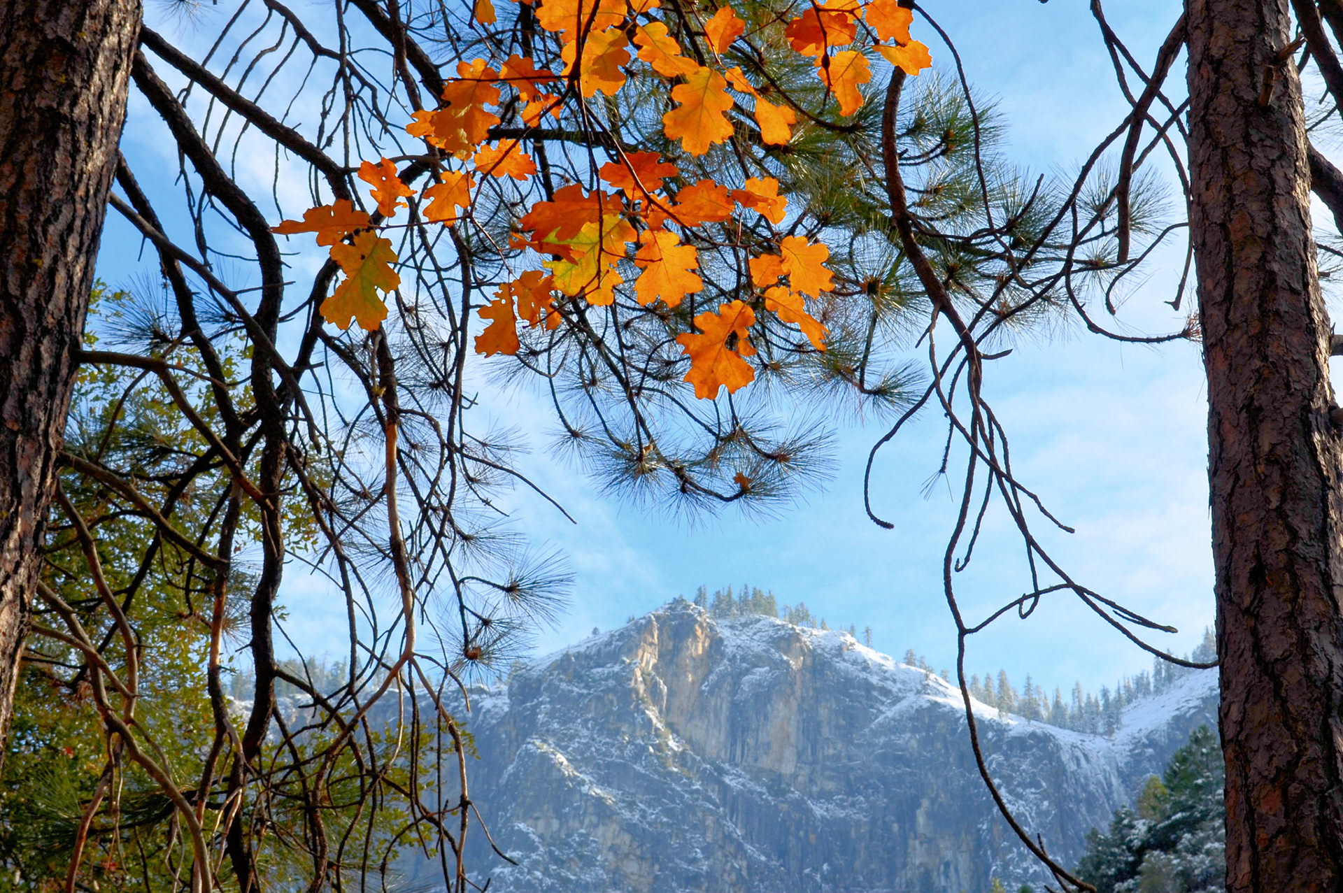 Yosemite Autumn