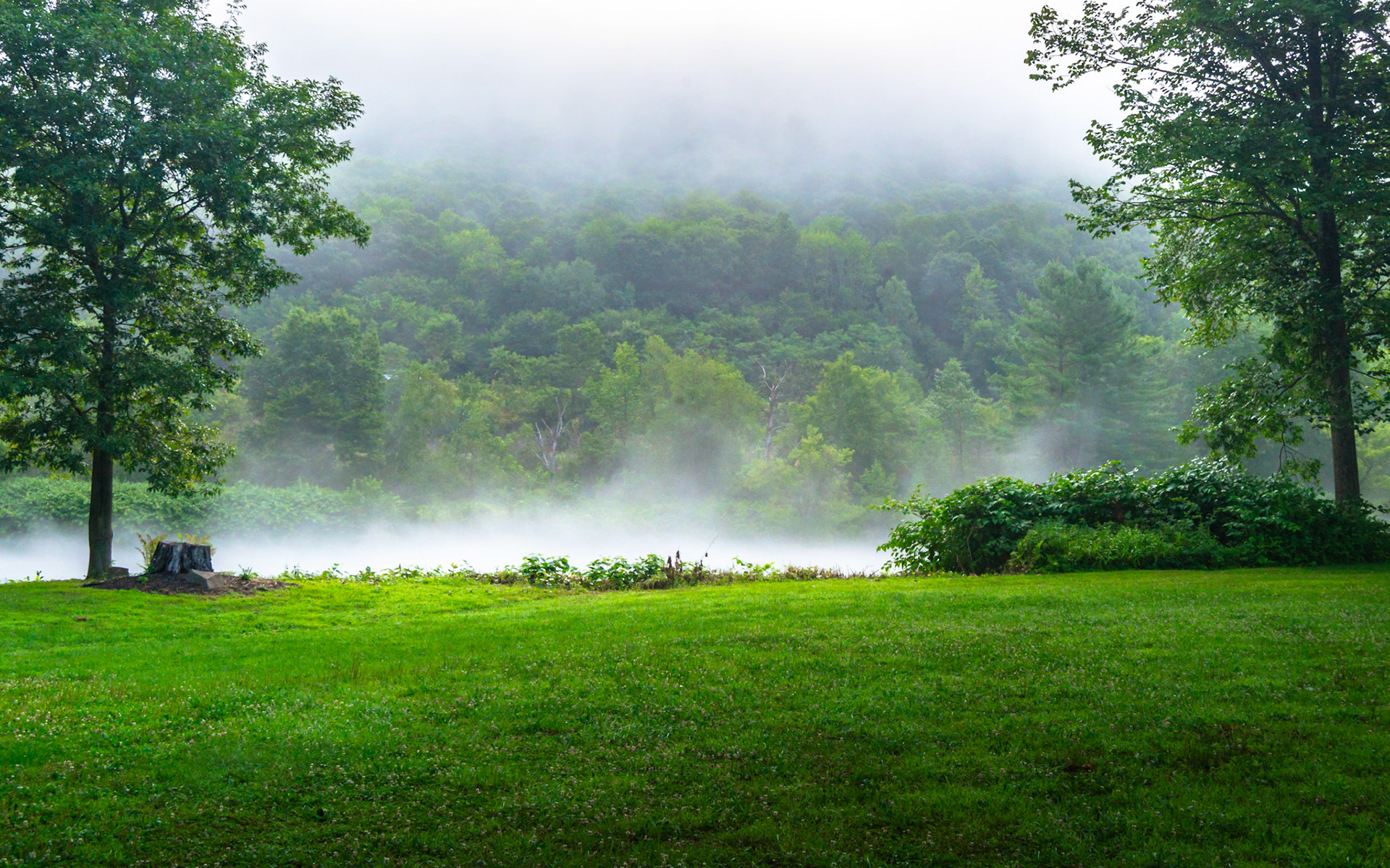 Delaware River, NY